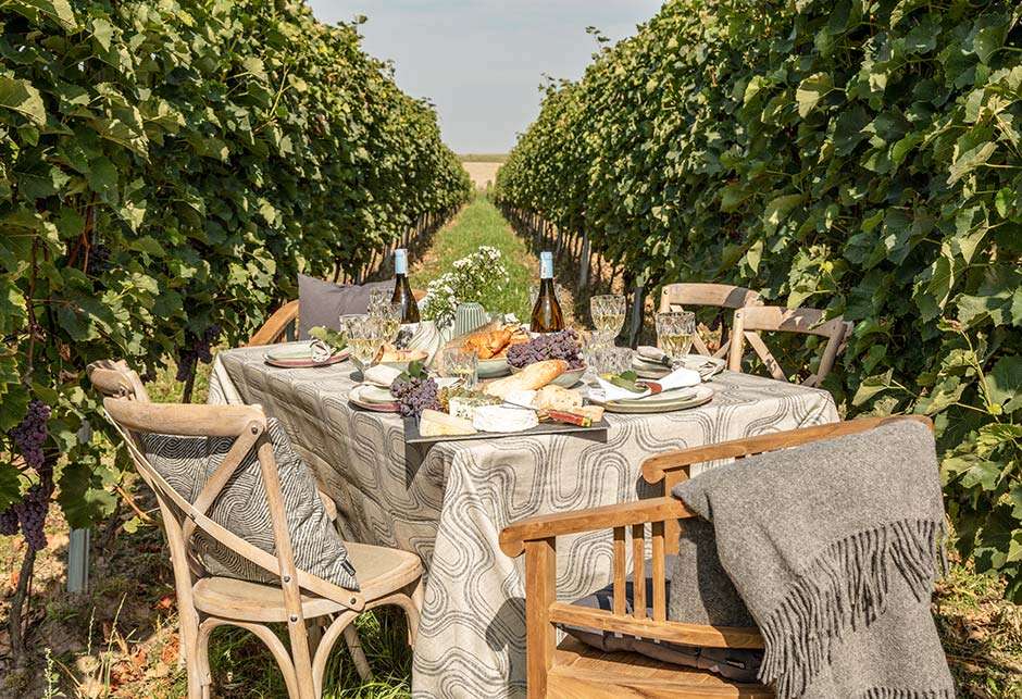 Cottagecore, czyli powrót do wiejskiej przytulności