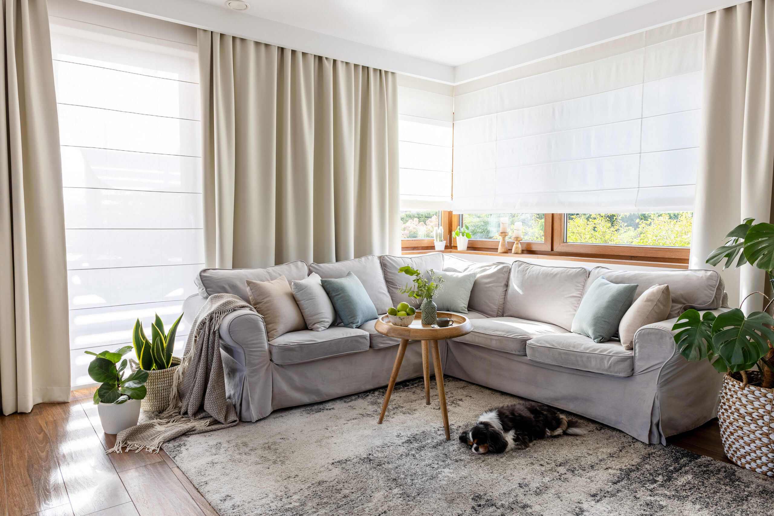 Jakie zasłony wybrać do szarego salonu? Poradnik