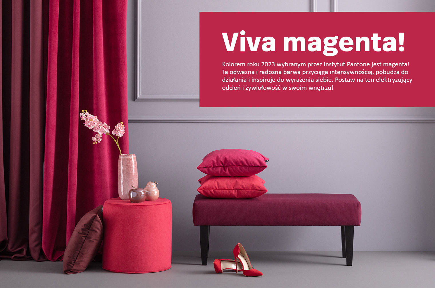 baner_viva_mag.jpg