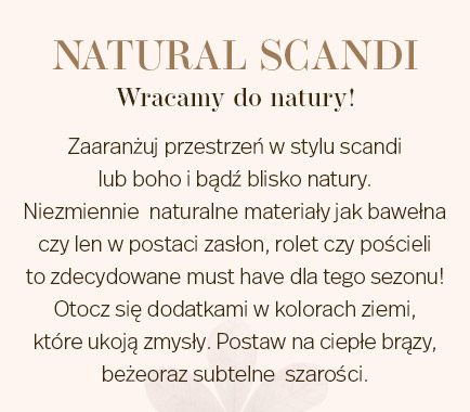 434xAUTO_SCANDI.jpg