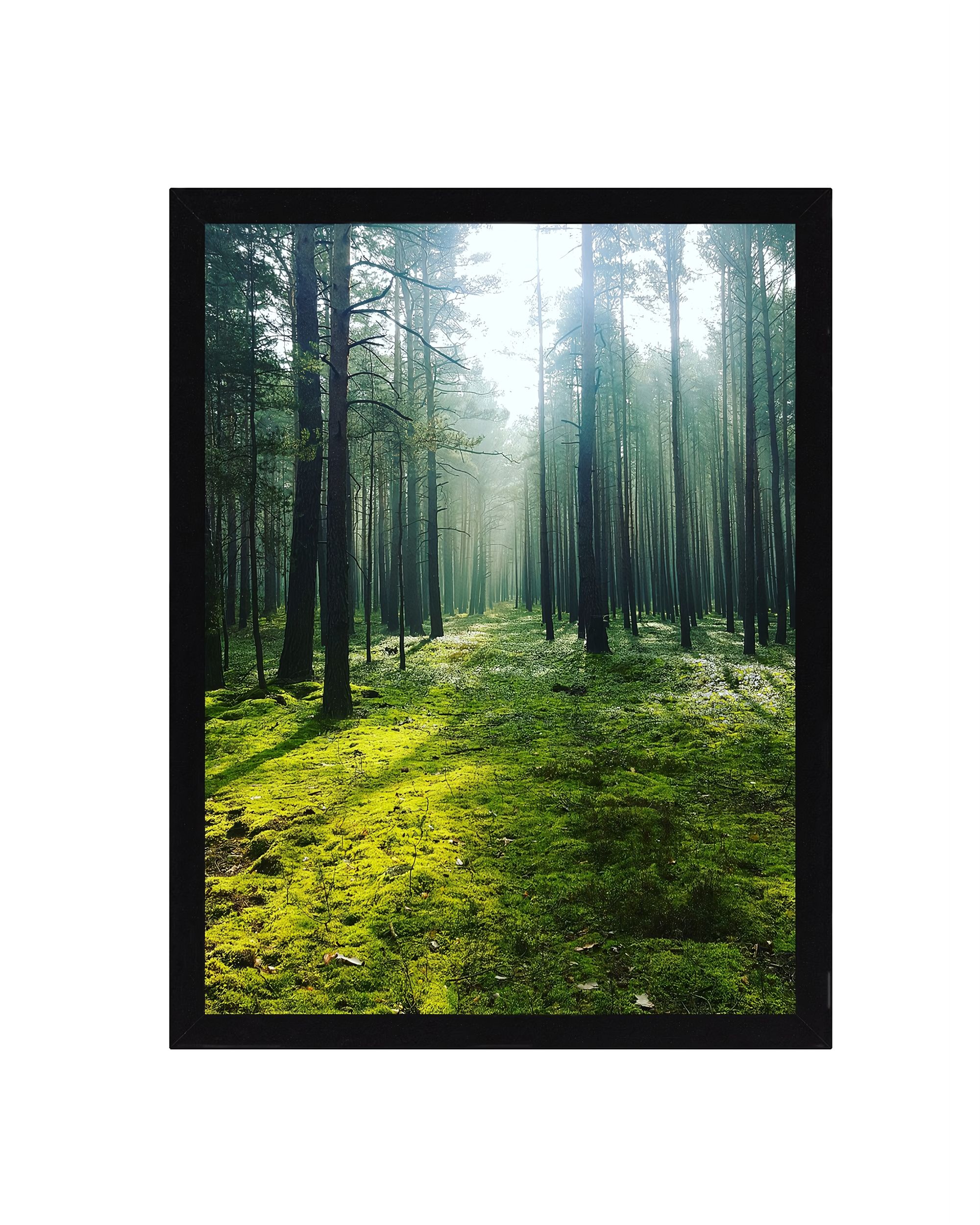 Obraz Green Forest 30x40cm