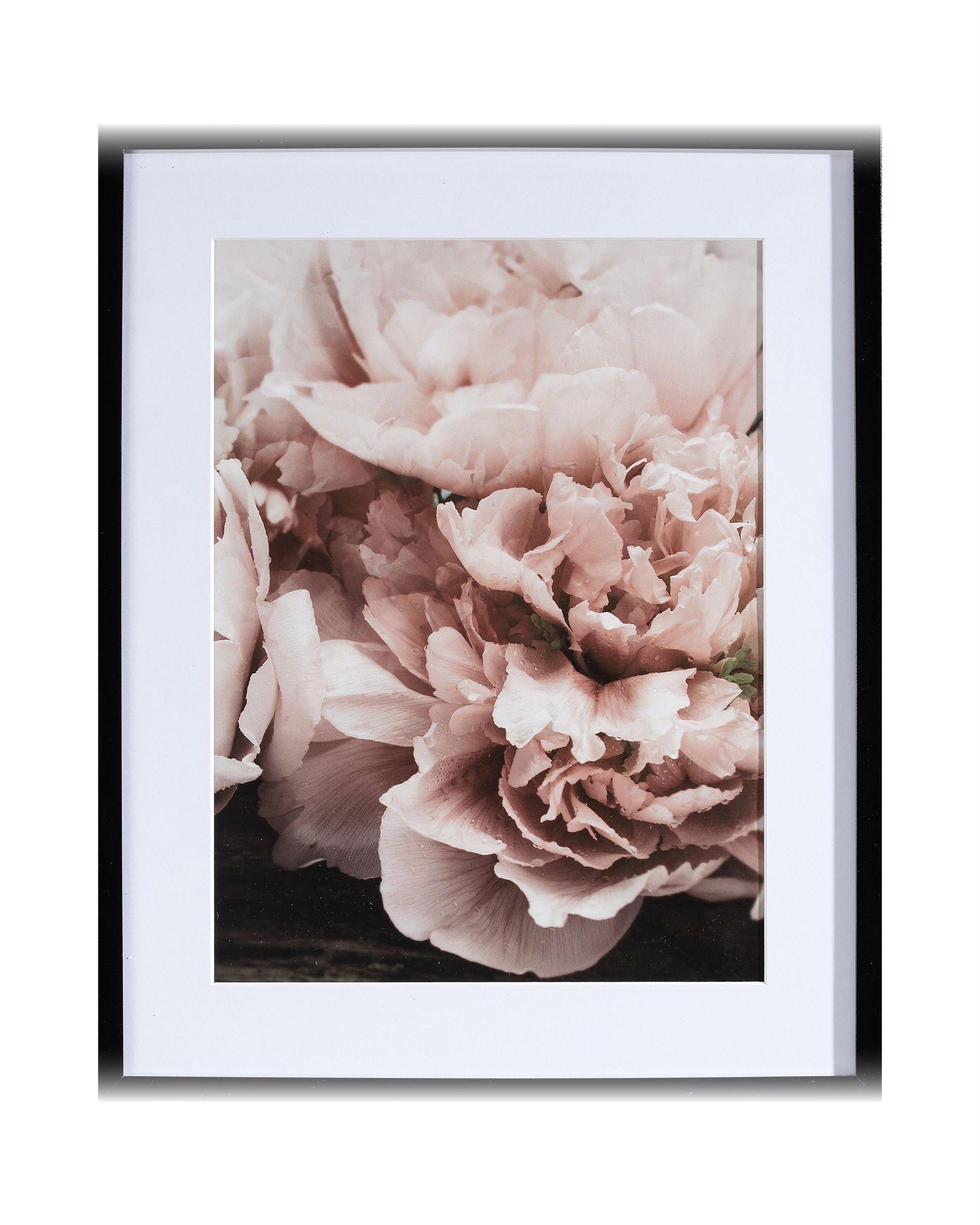 Obraz Peony Sunset I 40x50cm