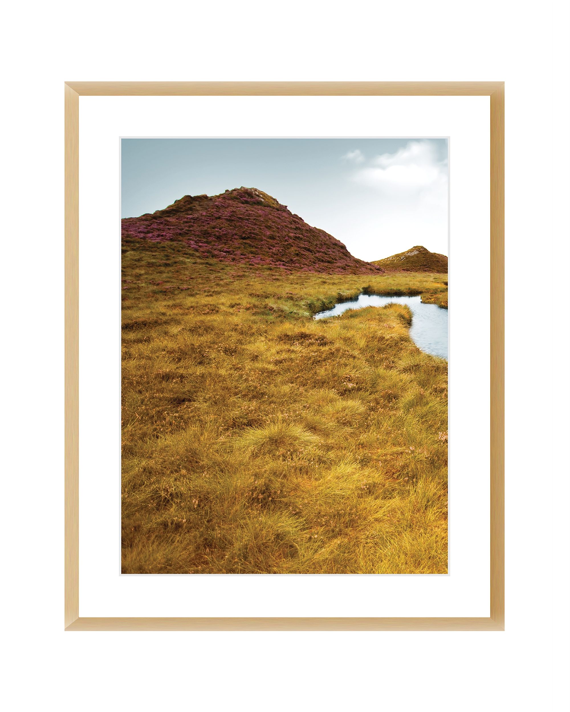 Obraz Grassy Field I 40x50cm