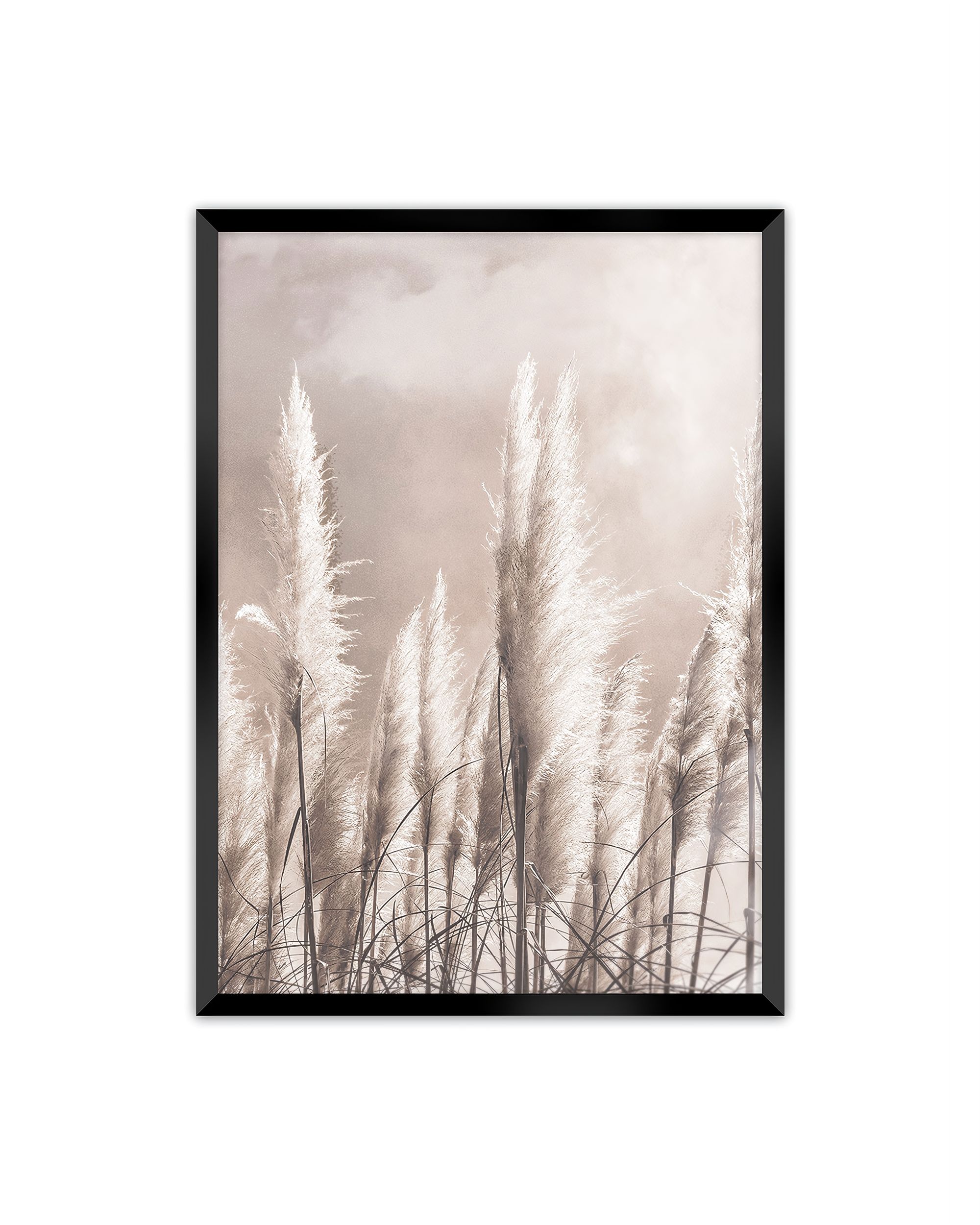 Obraz Grass