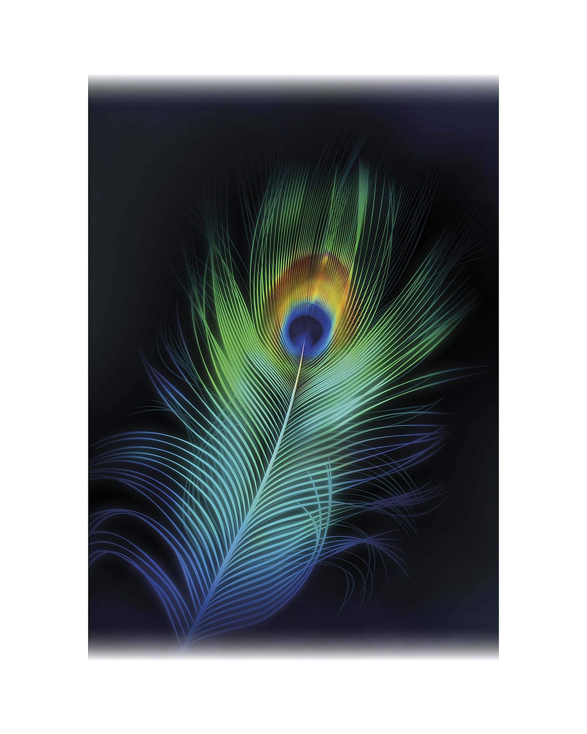 Obraz na płótnie Peacock Eye
