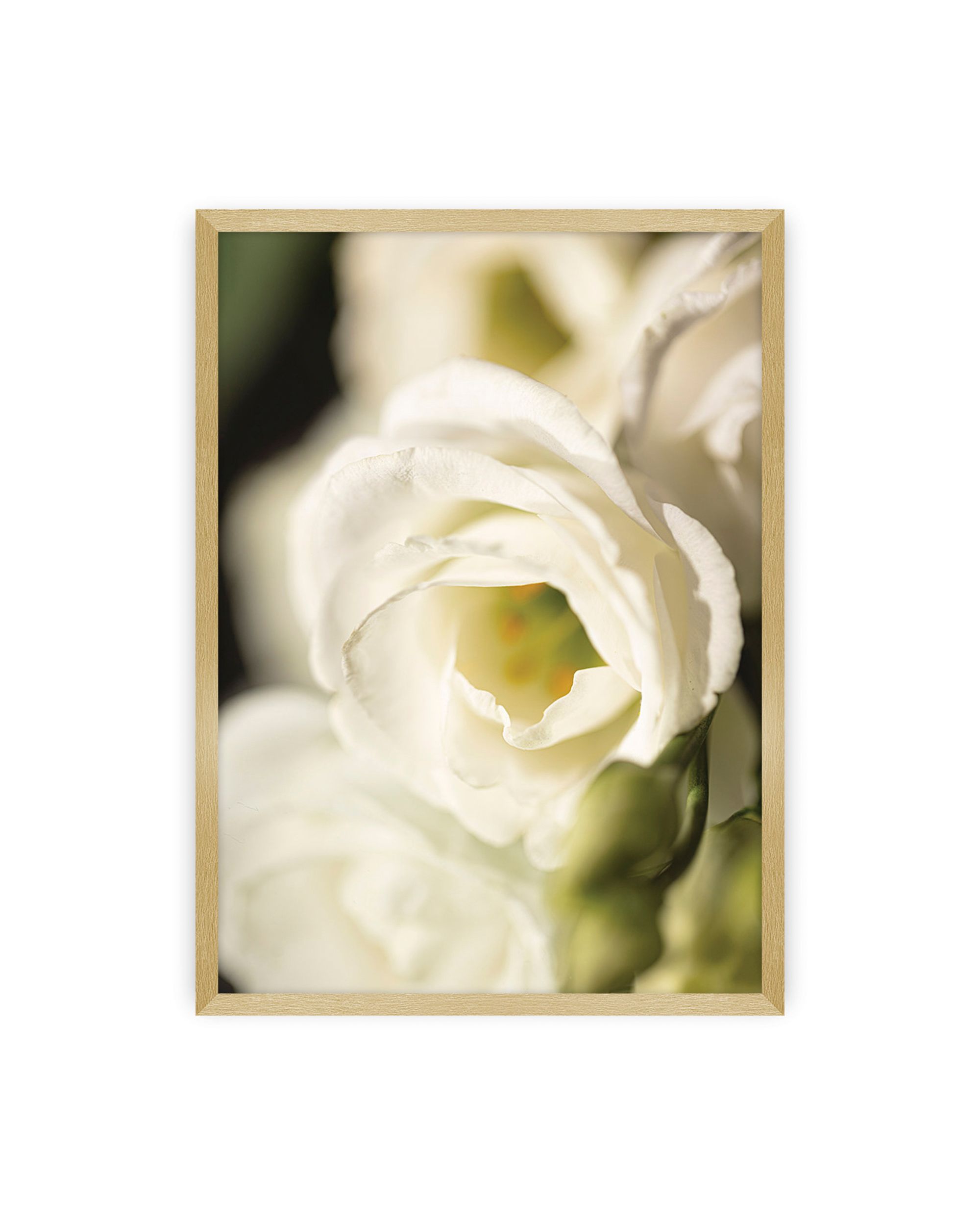 Plakat Flower Wall