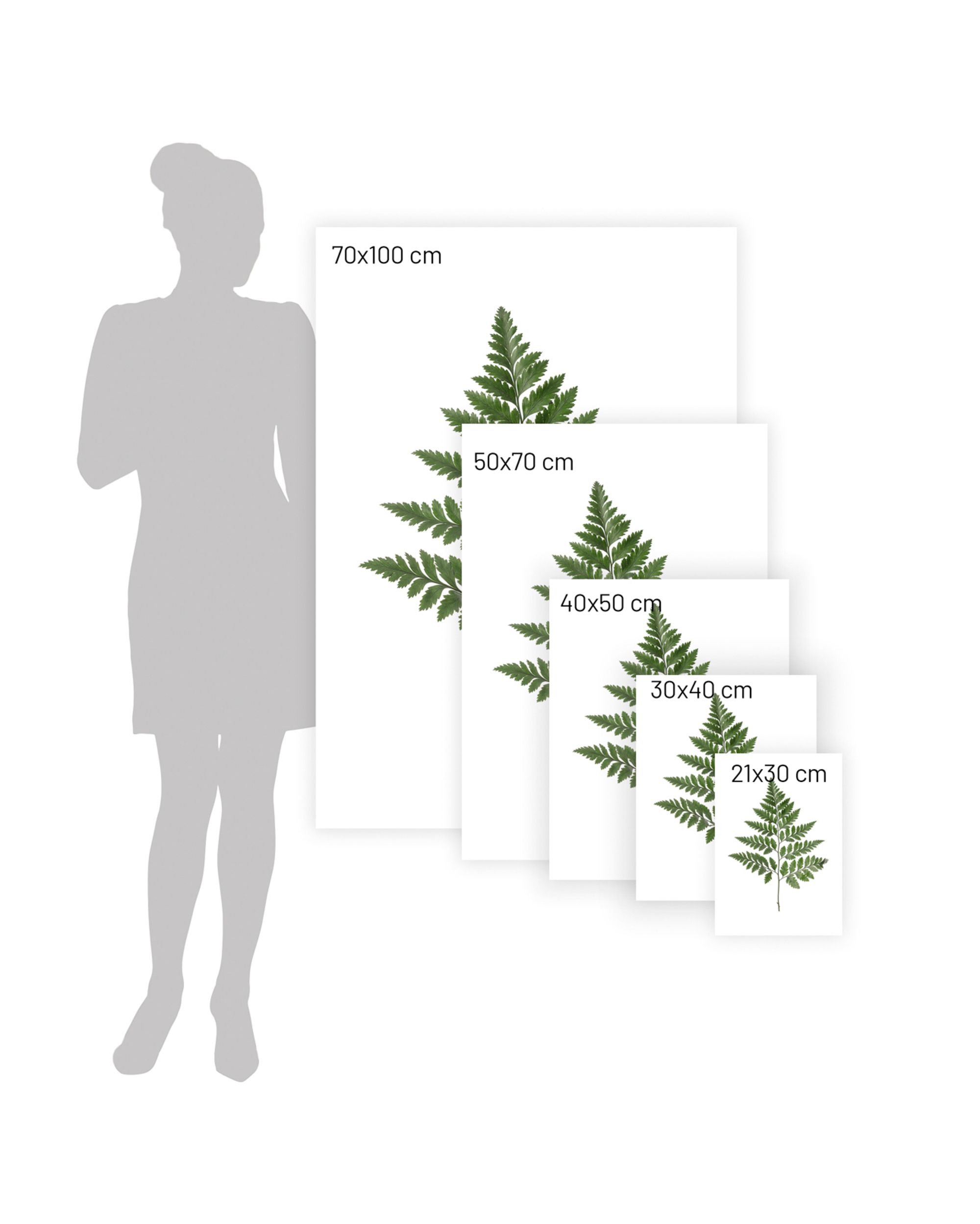 Plakat Fern Green (hover)