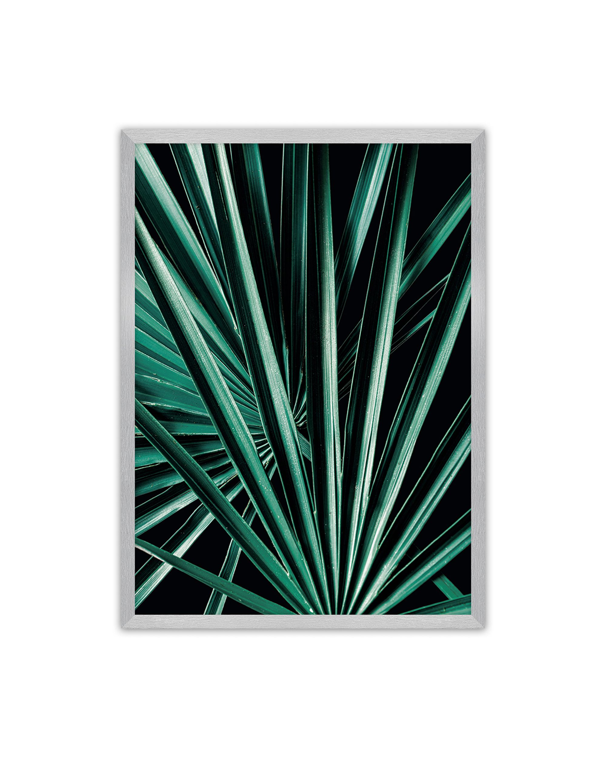 Plakat Dark Palm Tree
