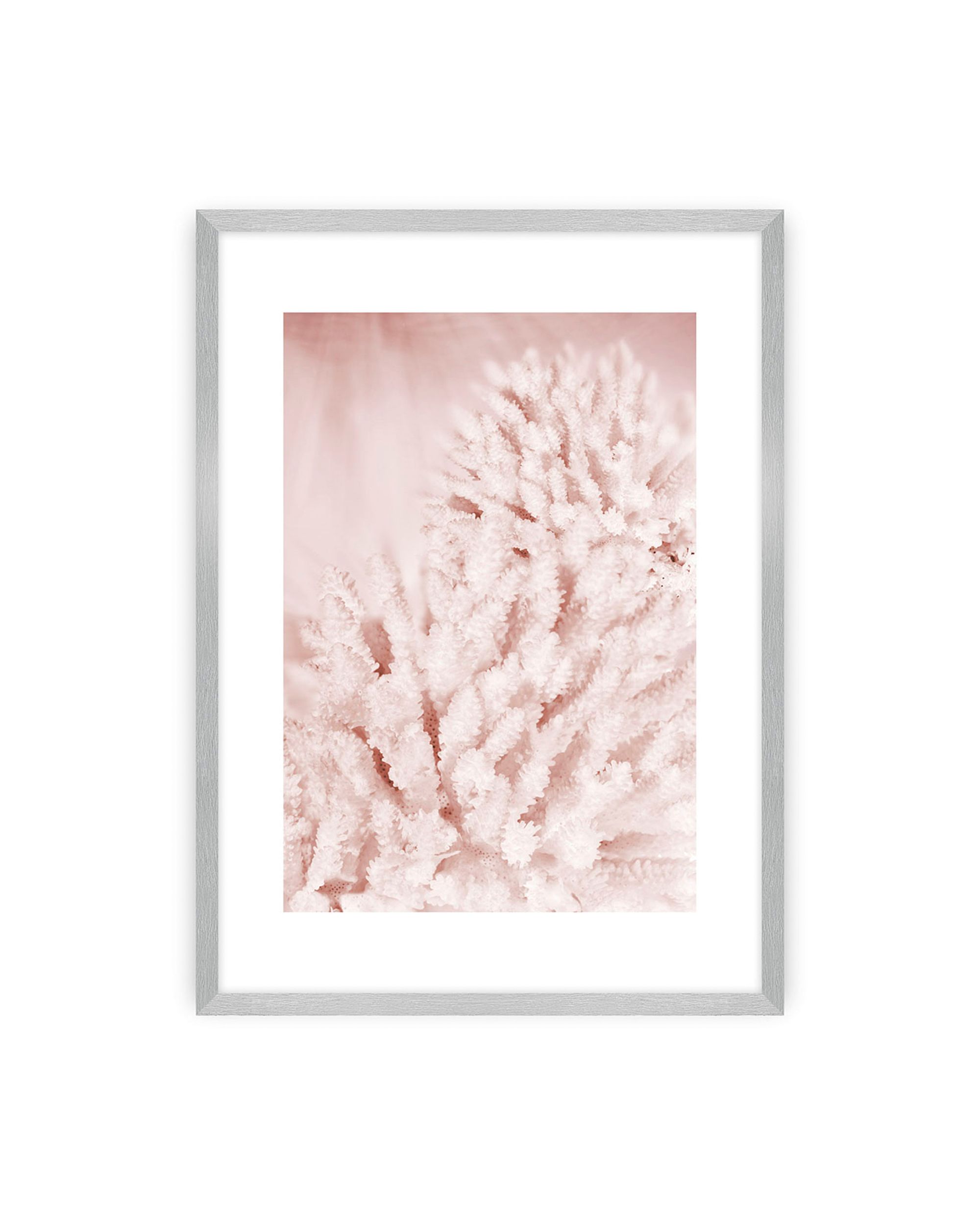Plakat Pastel Pink II