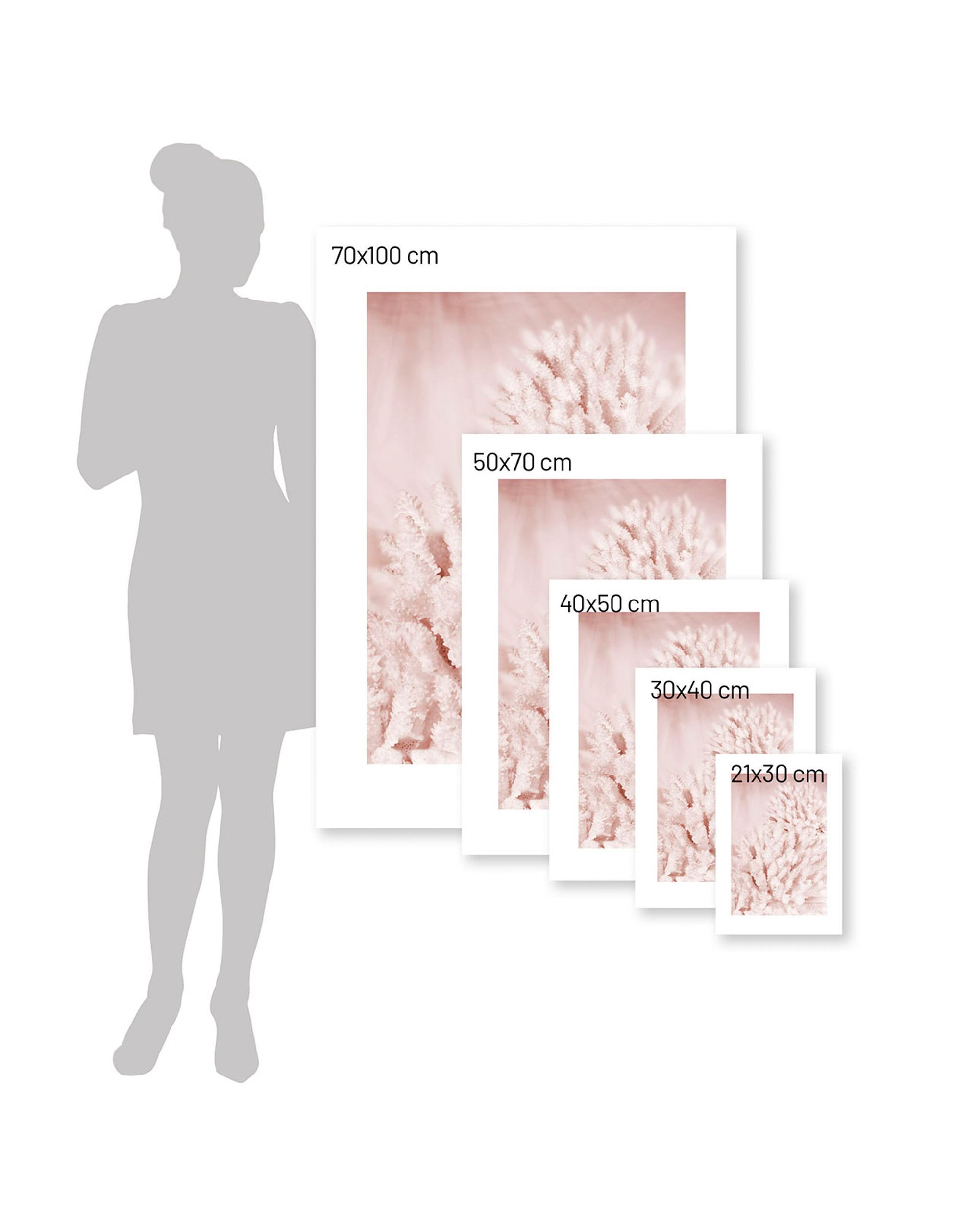 Plakat Pastel Pink II (hover)