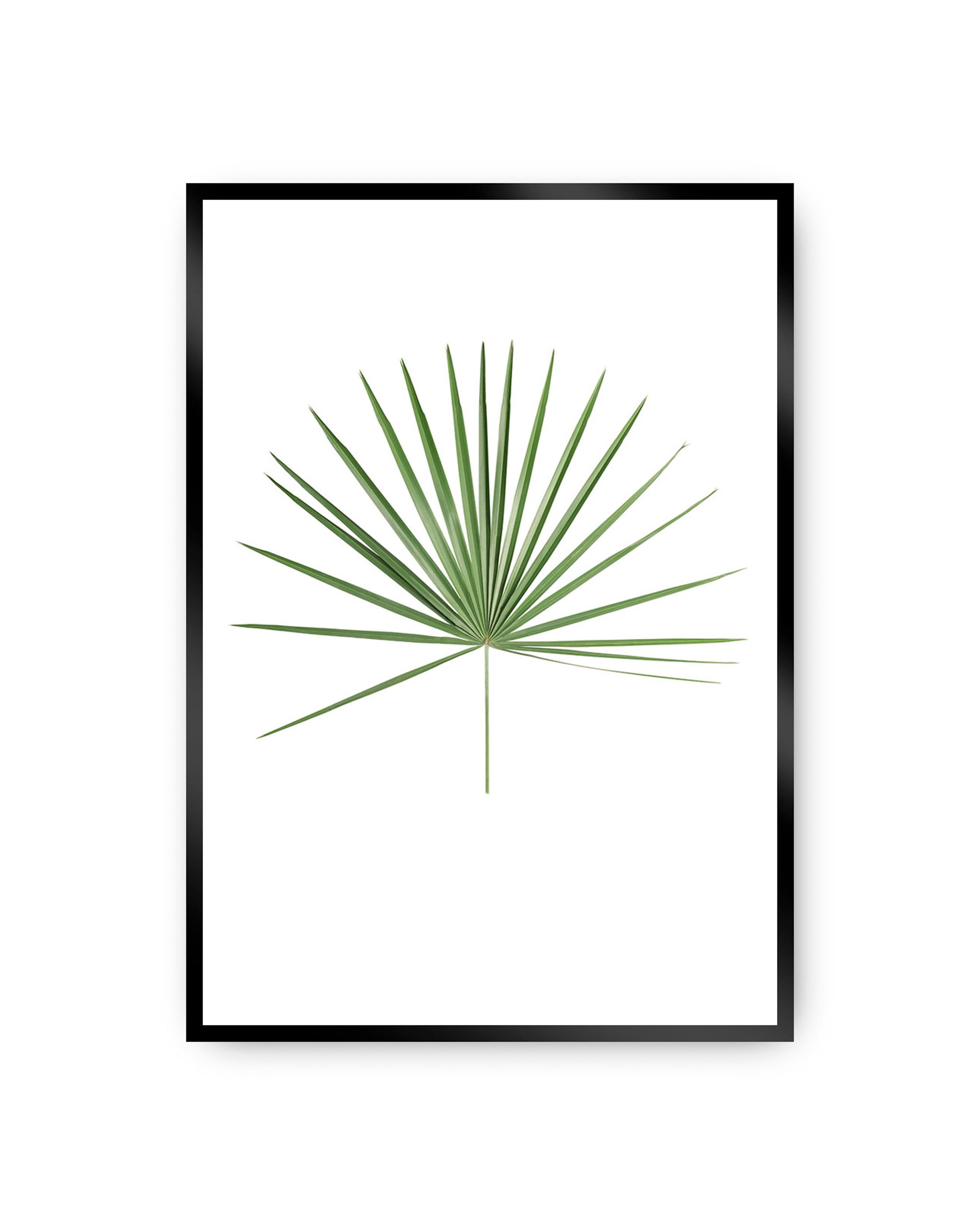 Plakat Tropical Leaf Green