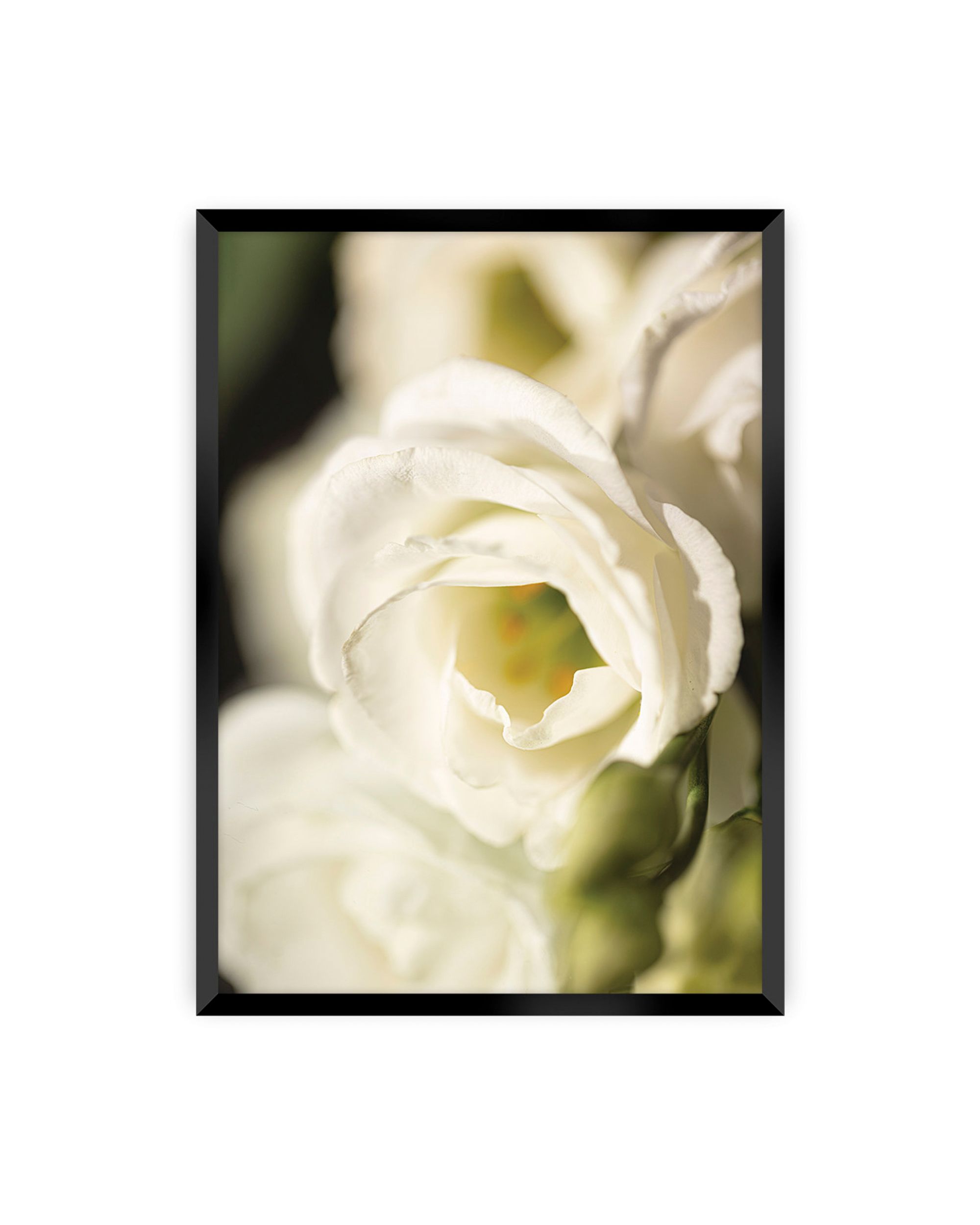 Plakat Flower Wall