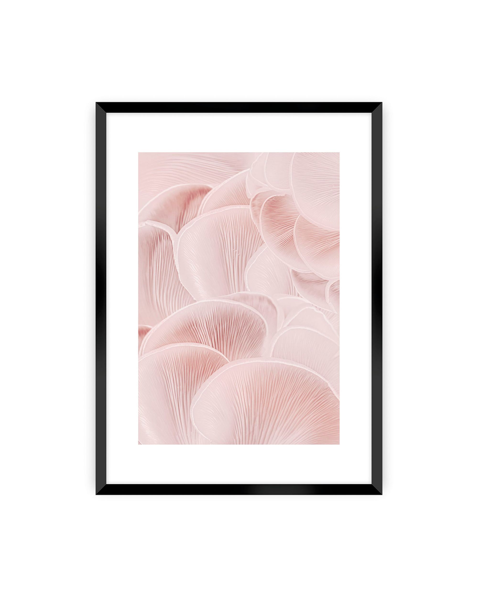 Plakat Pastel Pink I