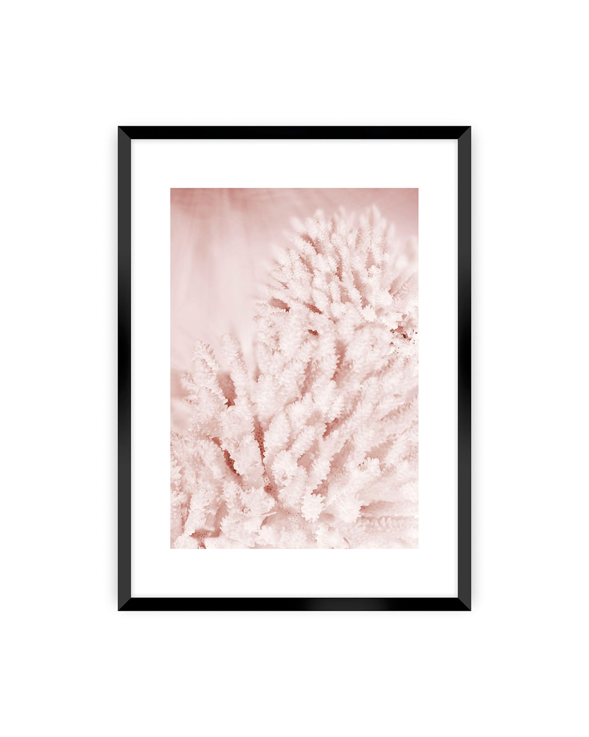 Plakat Pastel Pink II