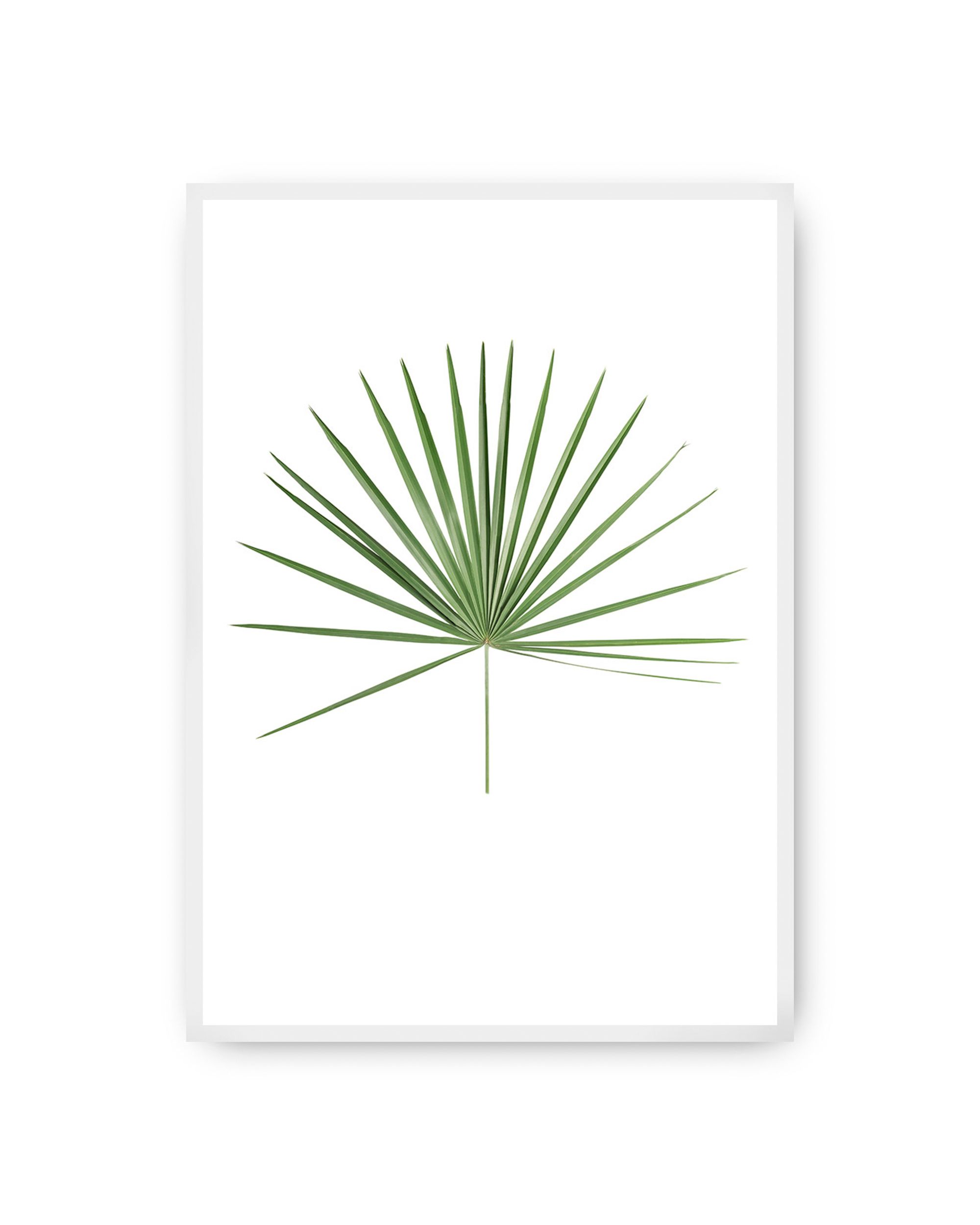 Plakat Tropical Leaf Green