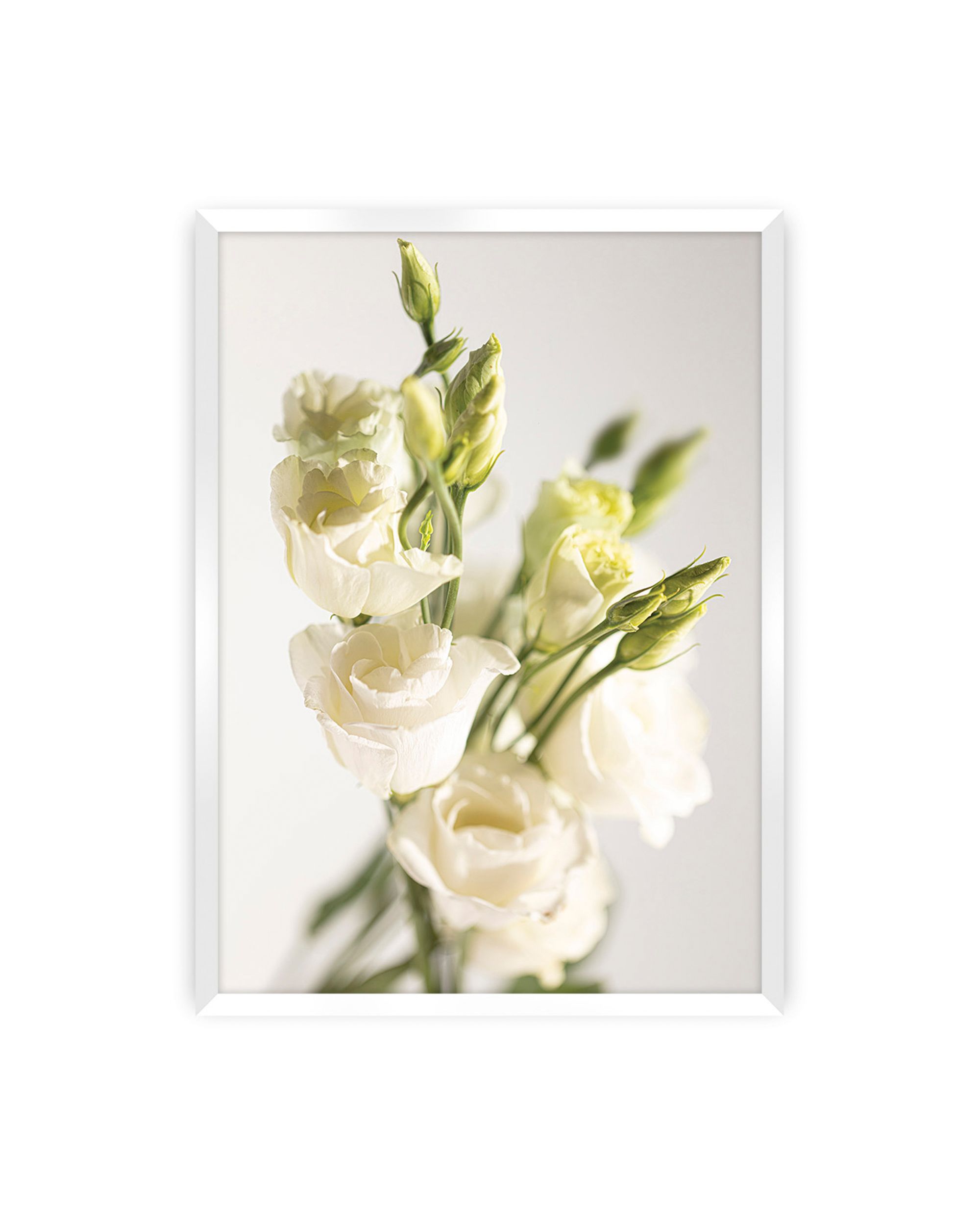 Plakat Elegant Flowers