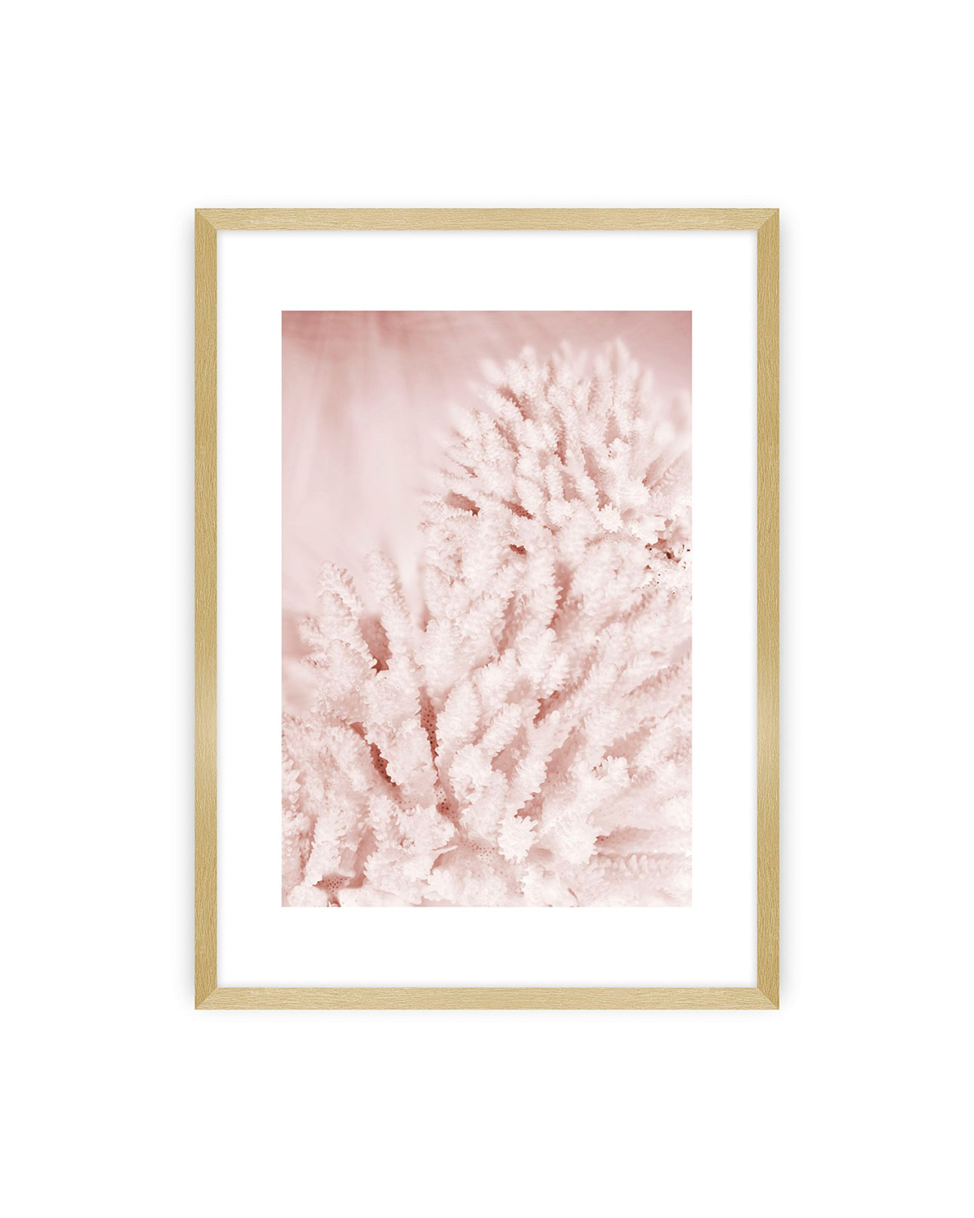 Plakat Pastel Pink II