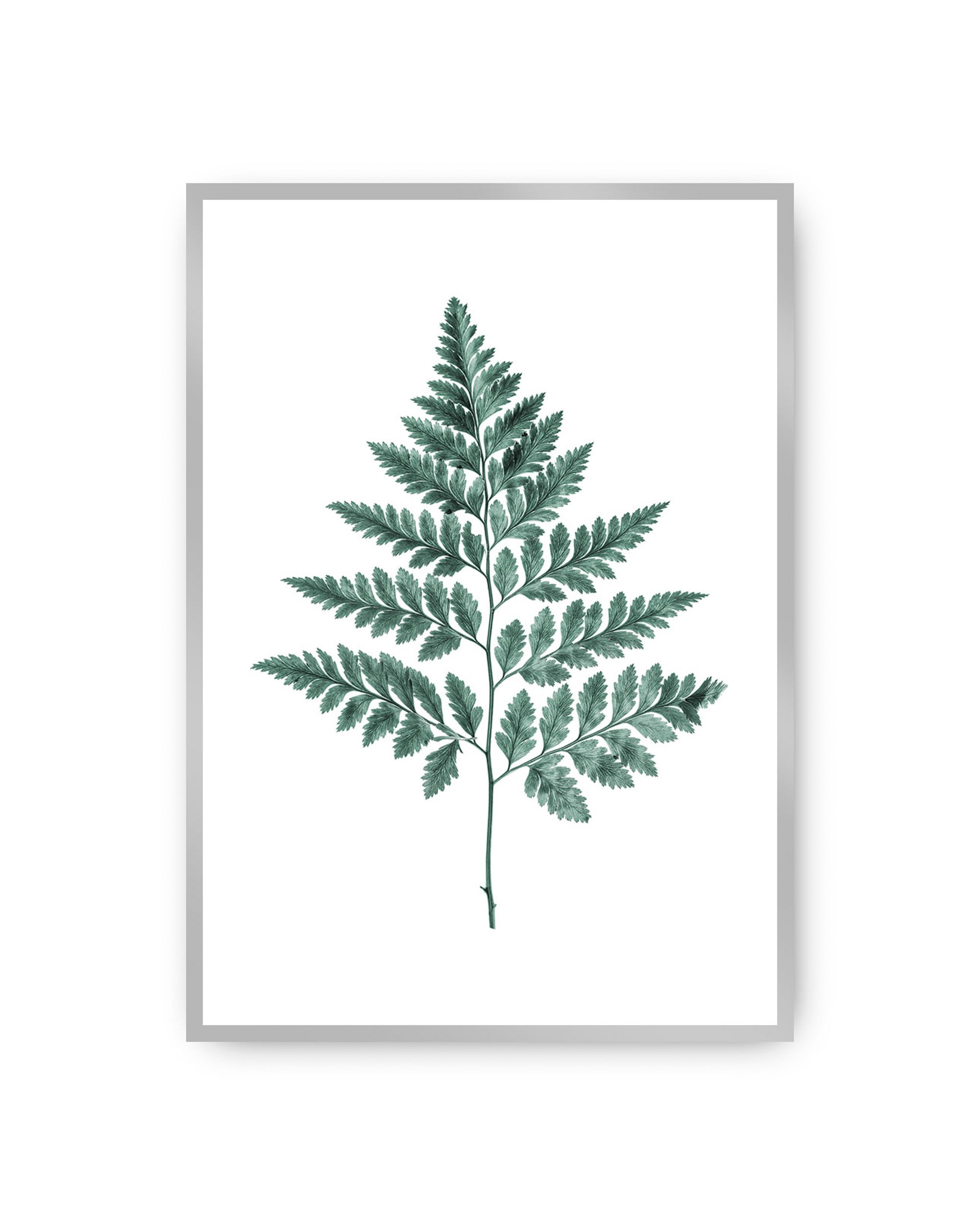 Plakat Fern Emerald Green