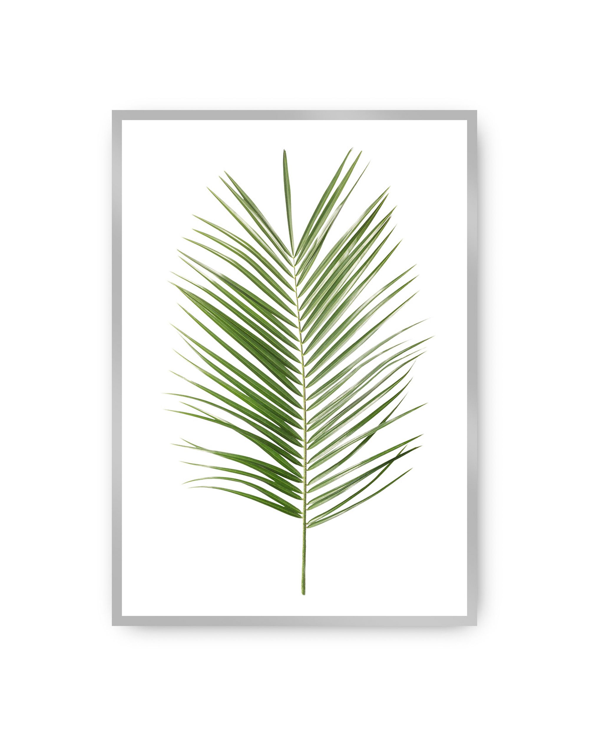 Plakat Palm Leaf Green
