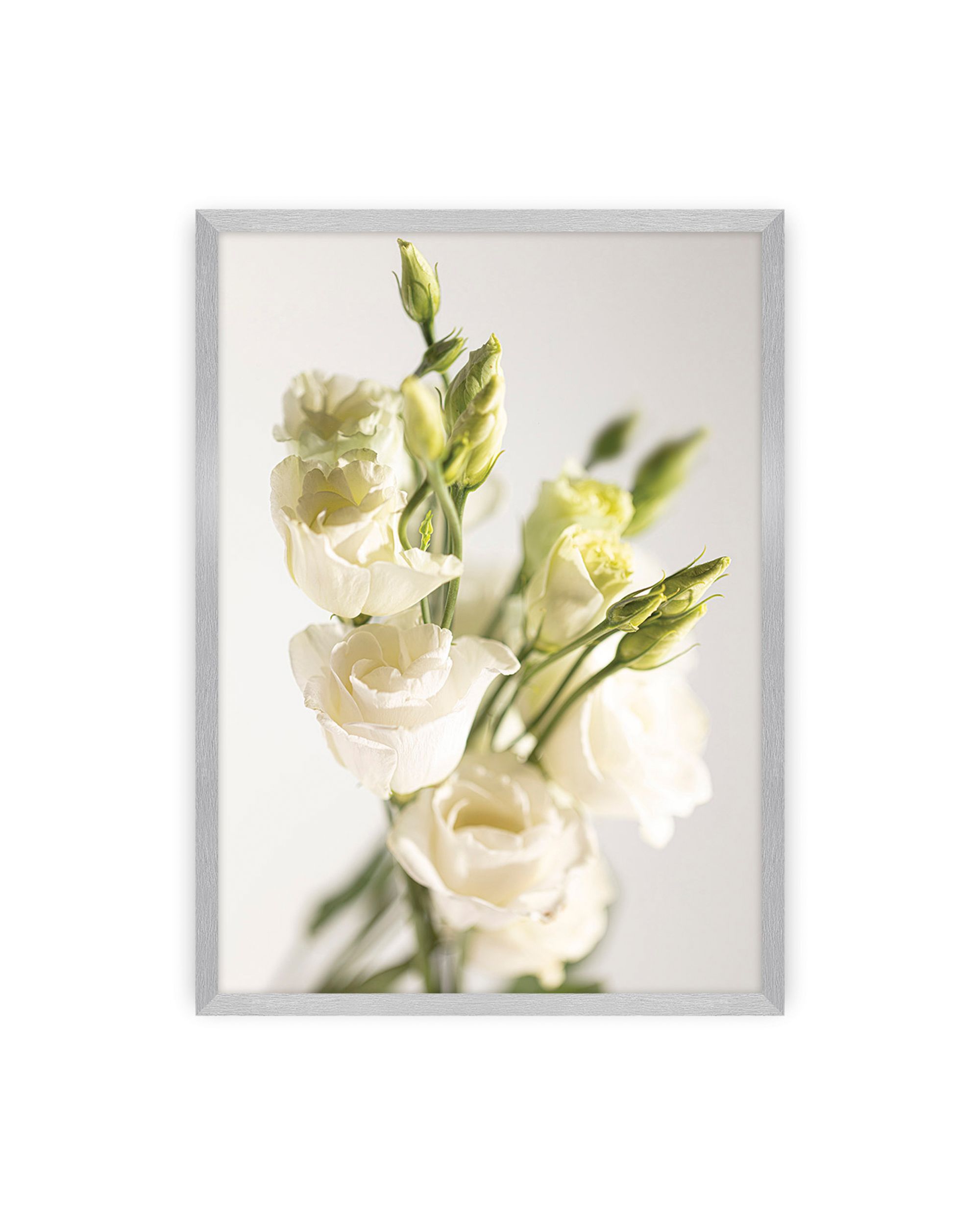 Plakat Elegant Flowers