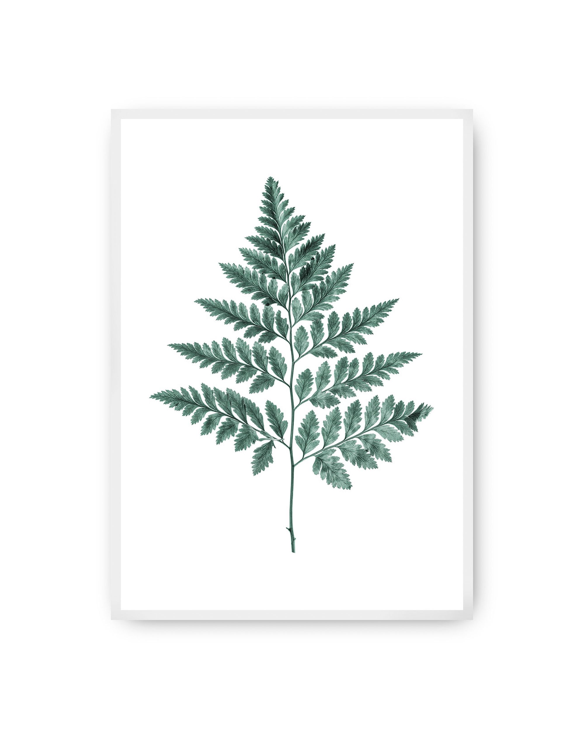Plakat Fern Emerald Green