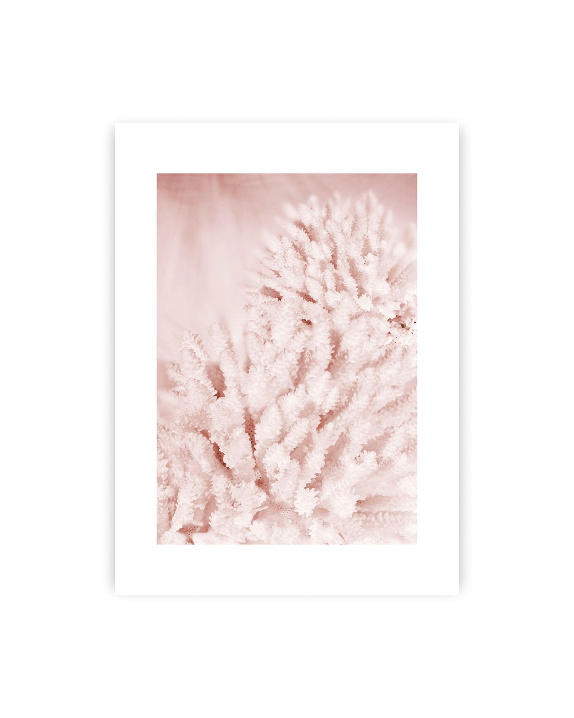 Plakat Pastel Pink II