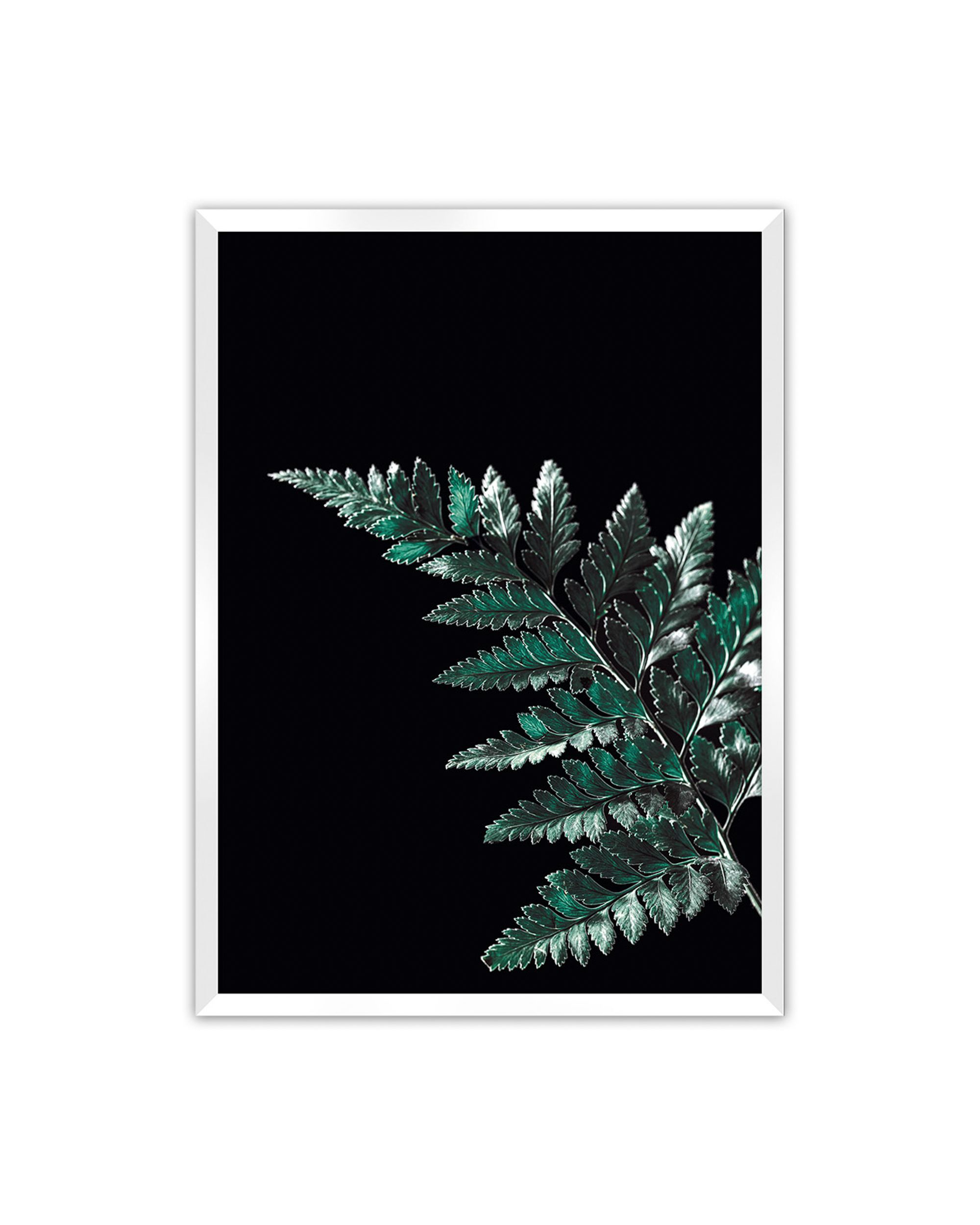 Plakat Dark Fern Leaf