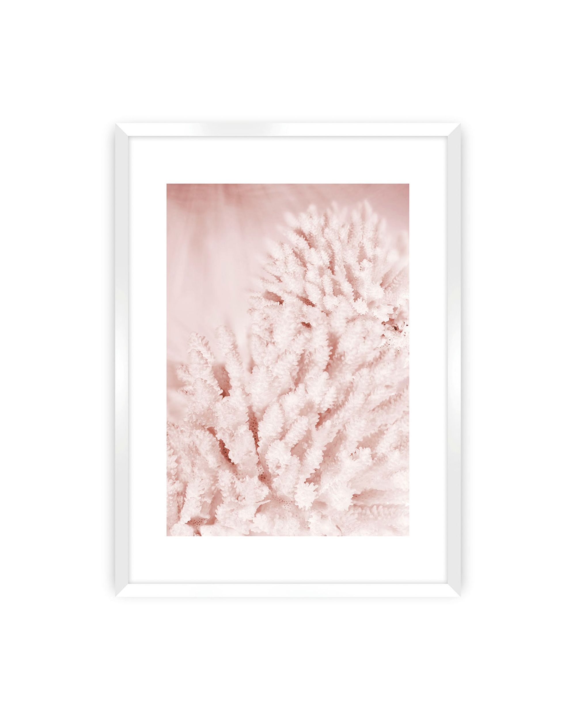 Plakat Pastel Pink II