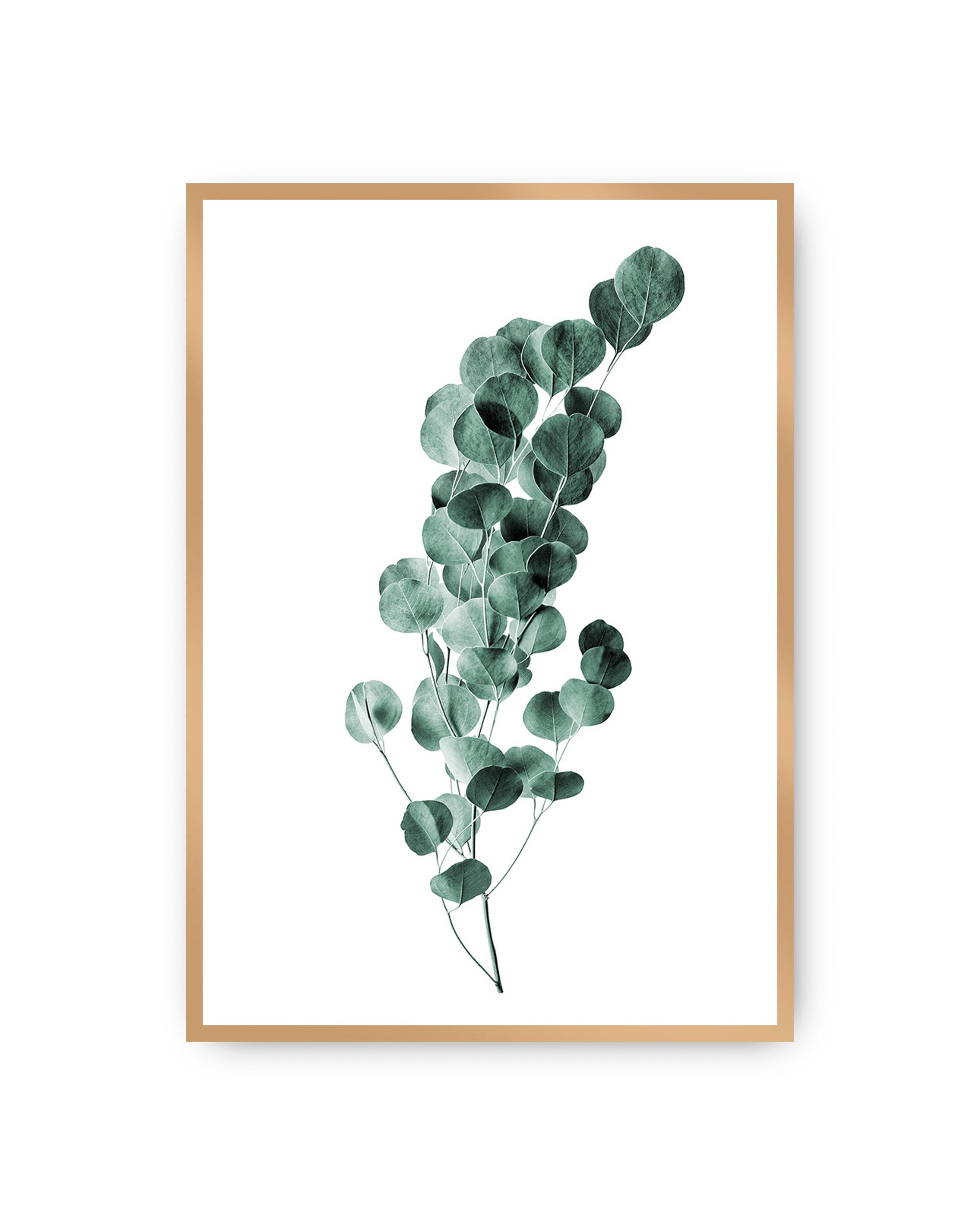 Plakat Eucalyptus Emerald Green