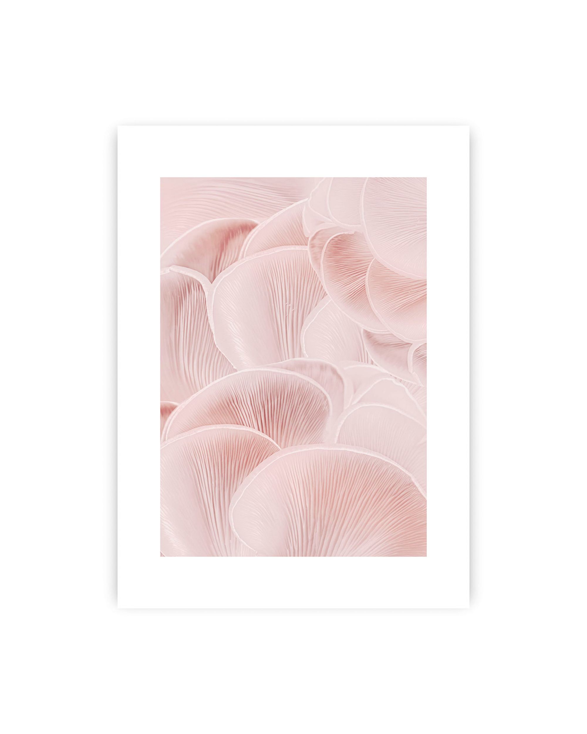Plakat Pastel Pink