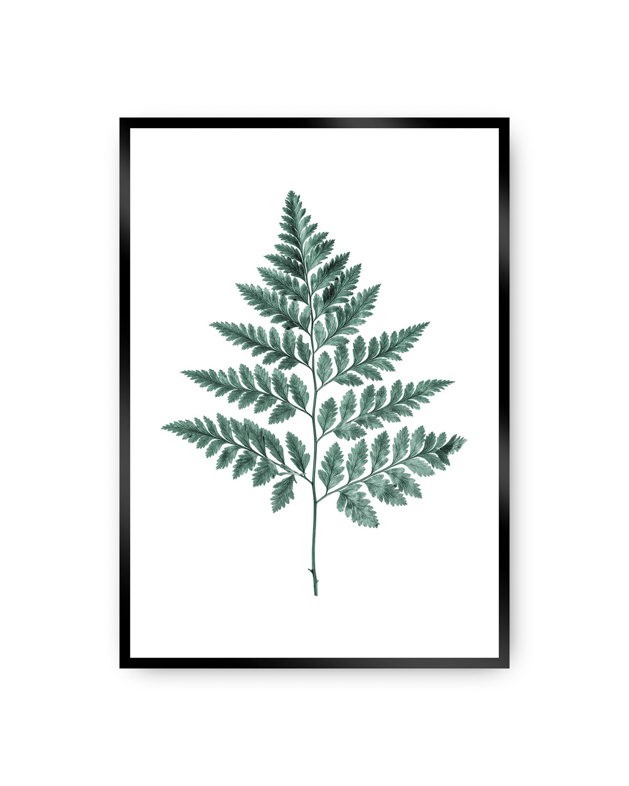 Plakat Fern Emerald Green