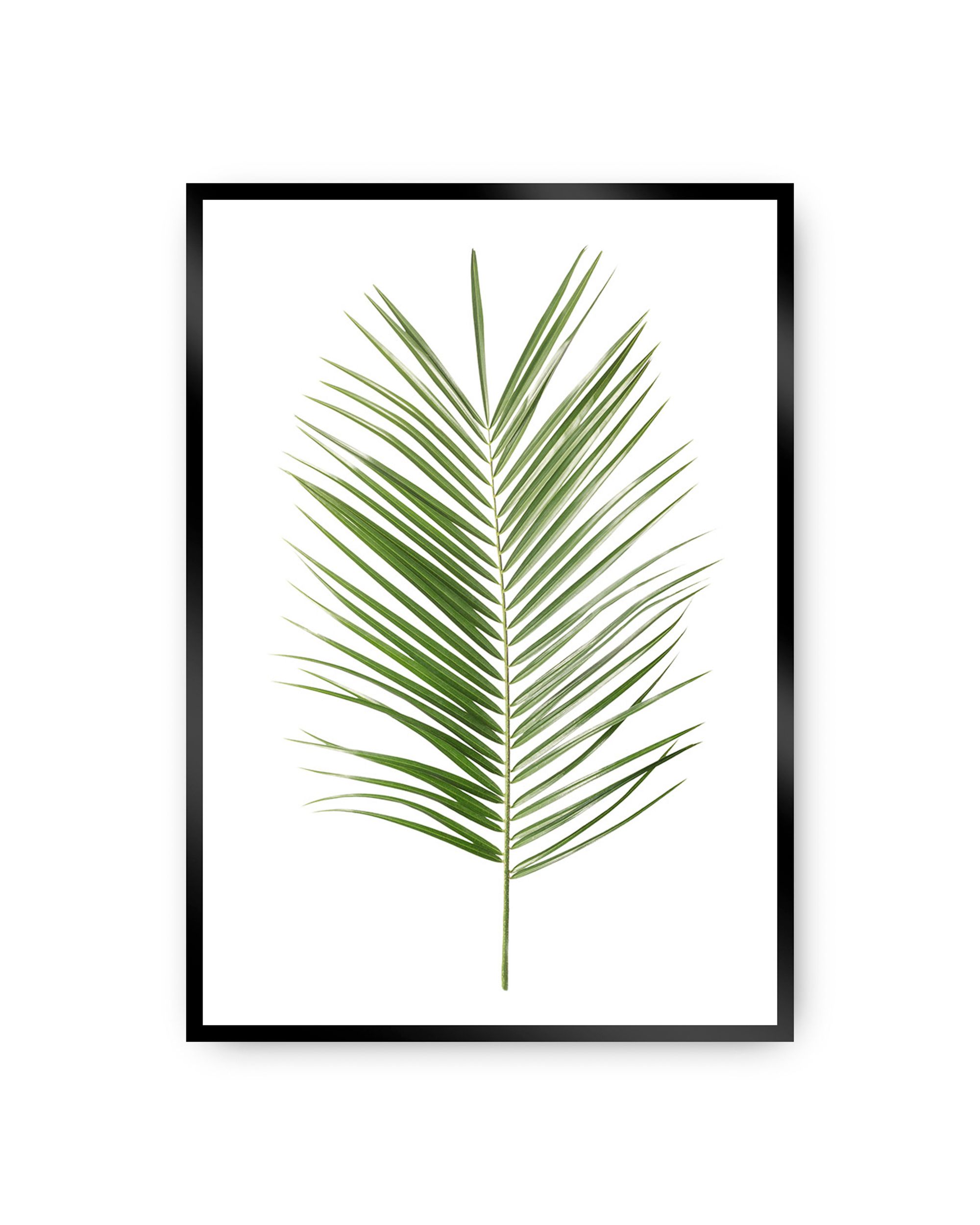 Plakat Palm Leaf Green