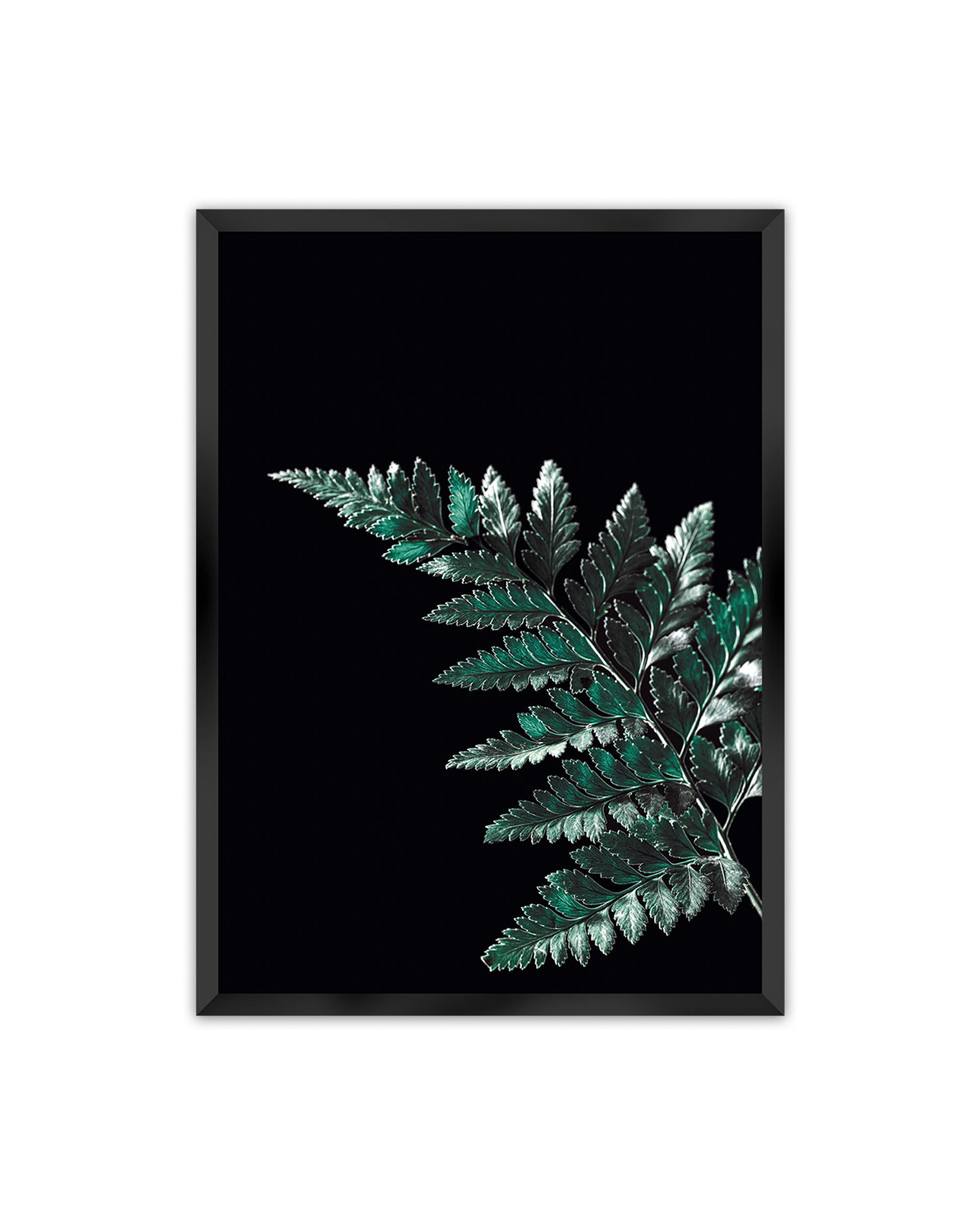 Plakat Dark Fern Leaf