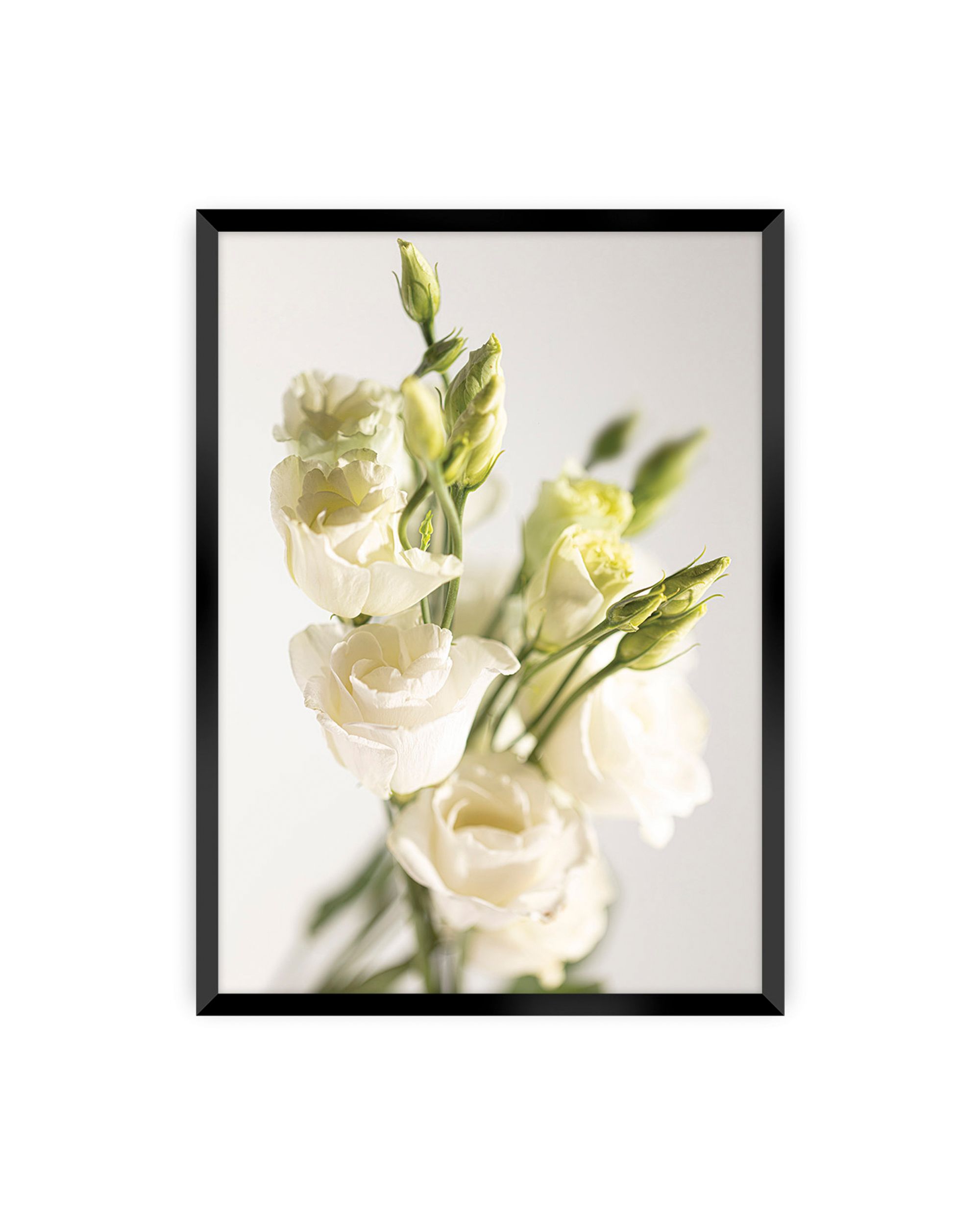 Plakat Elegant Flowers