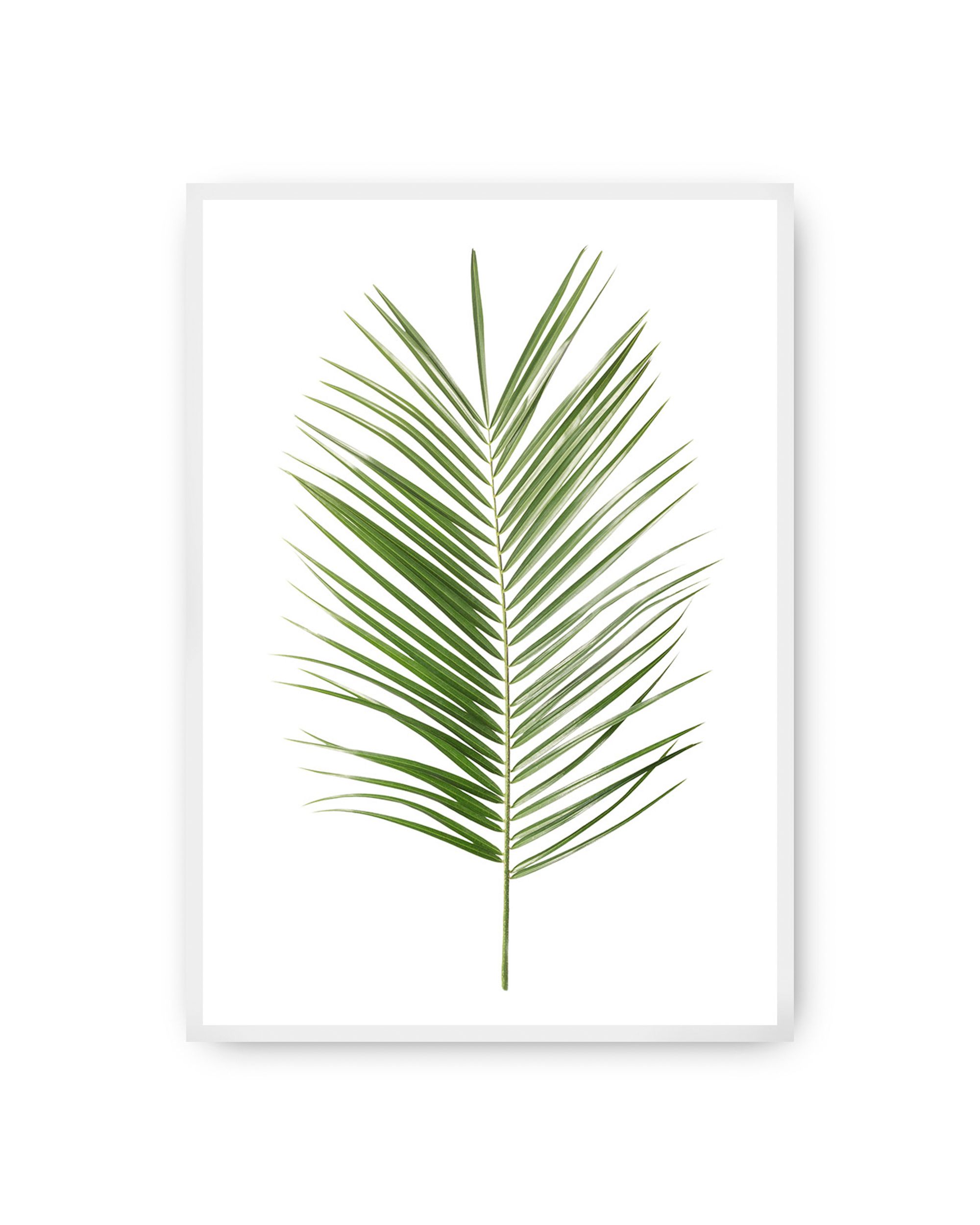 Plakat Palm Leaf Green