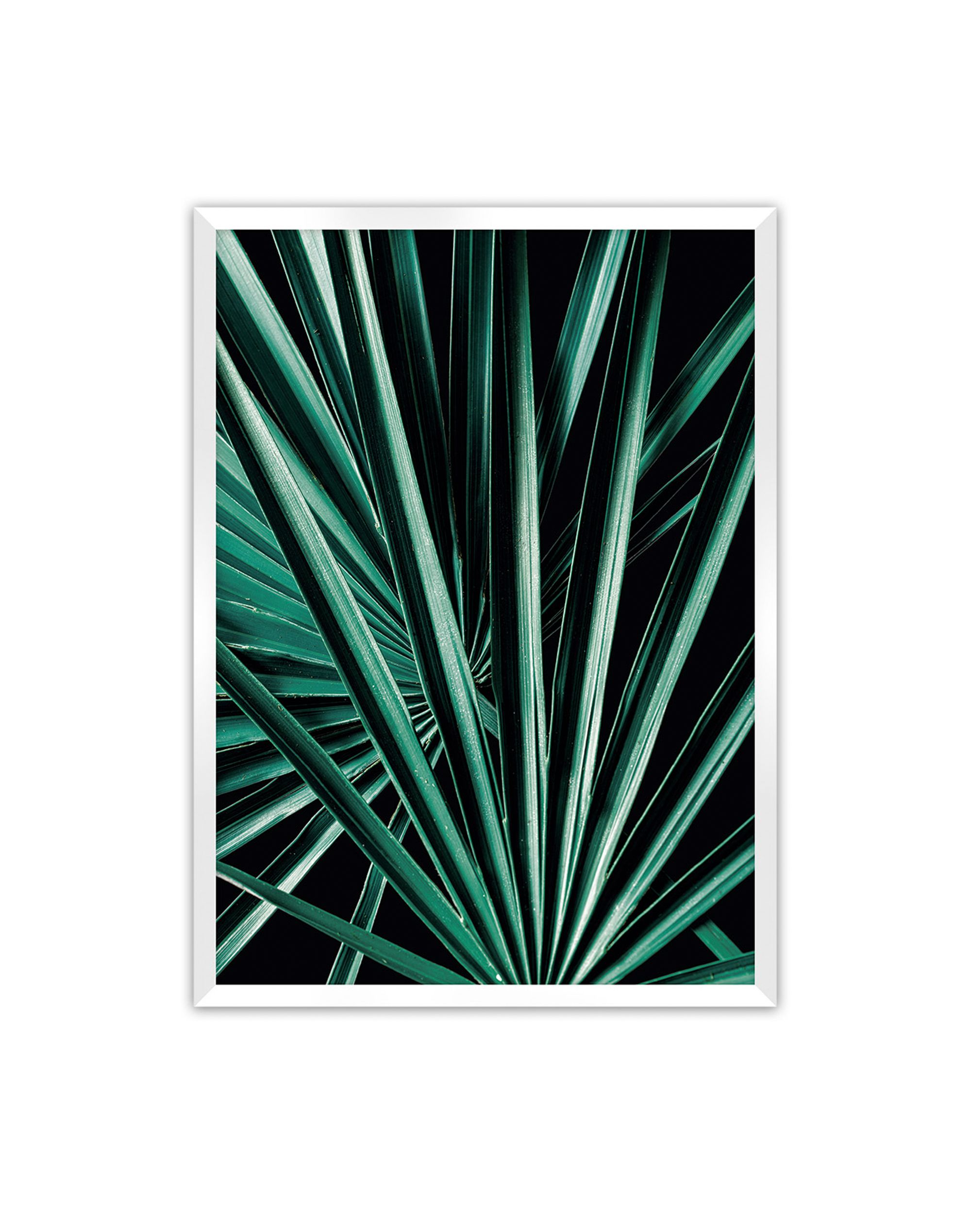 Plakat Dark Palm Tree