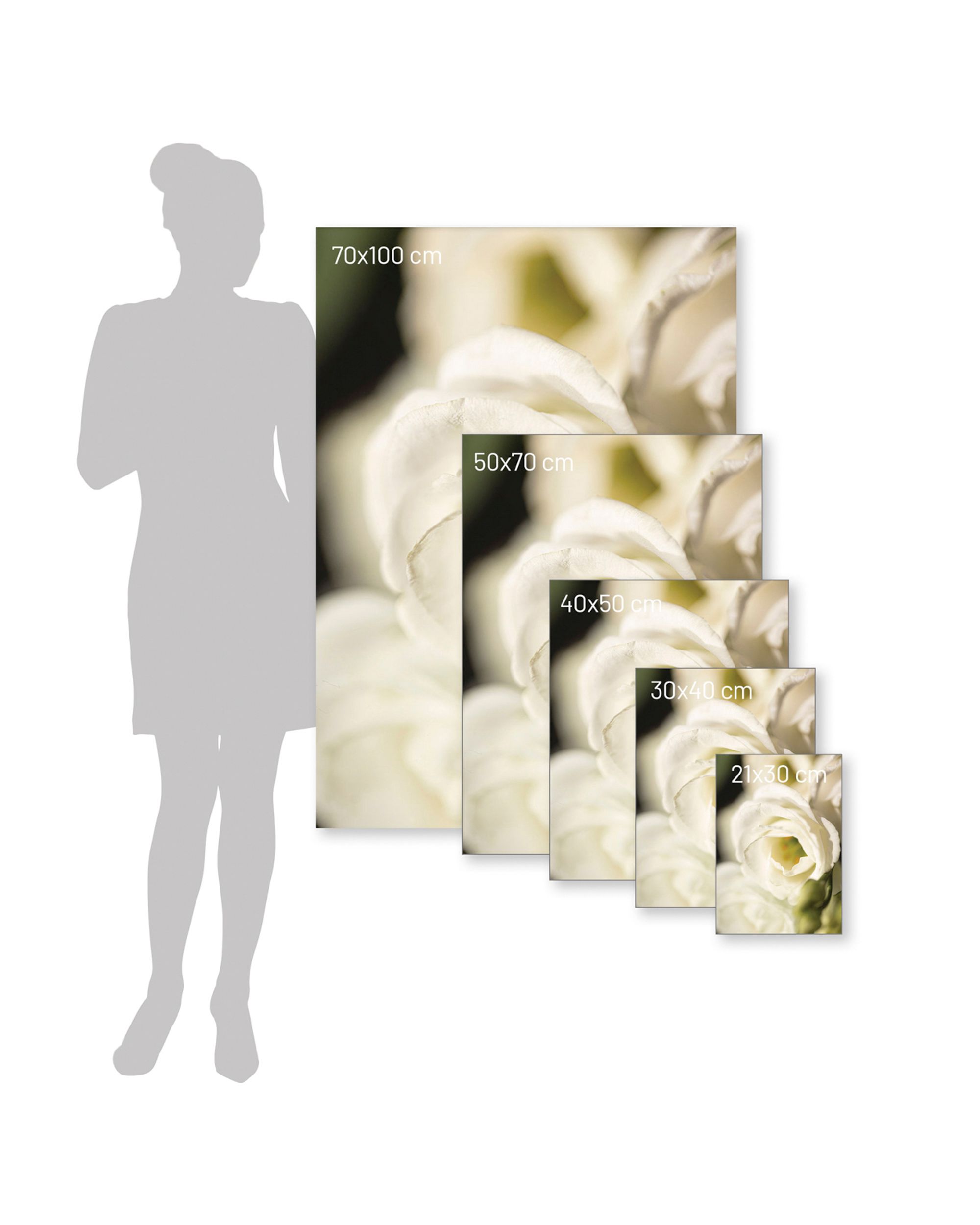 Plakat Flower Wall (hover)