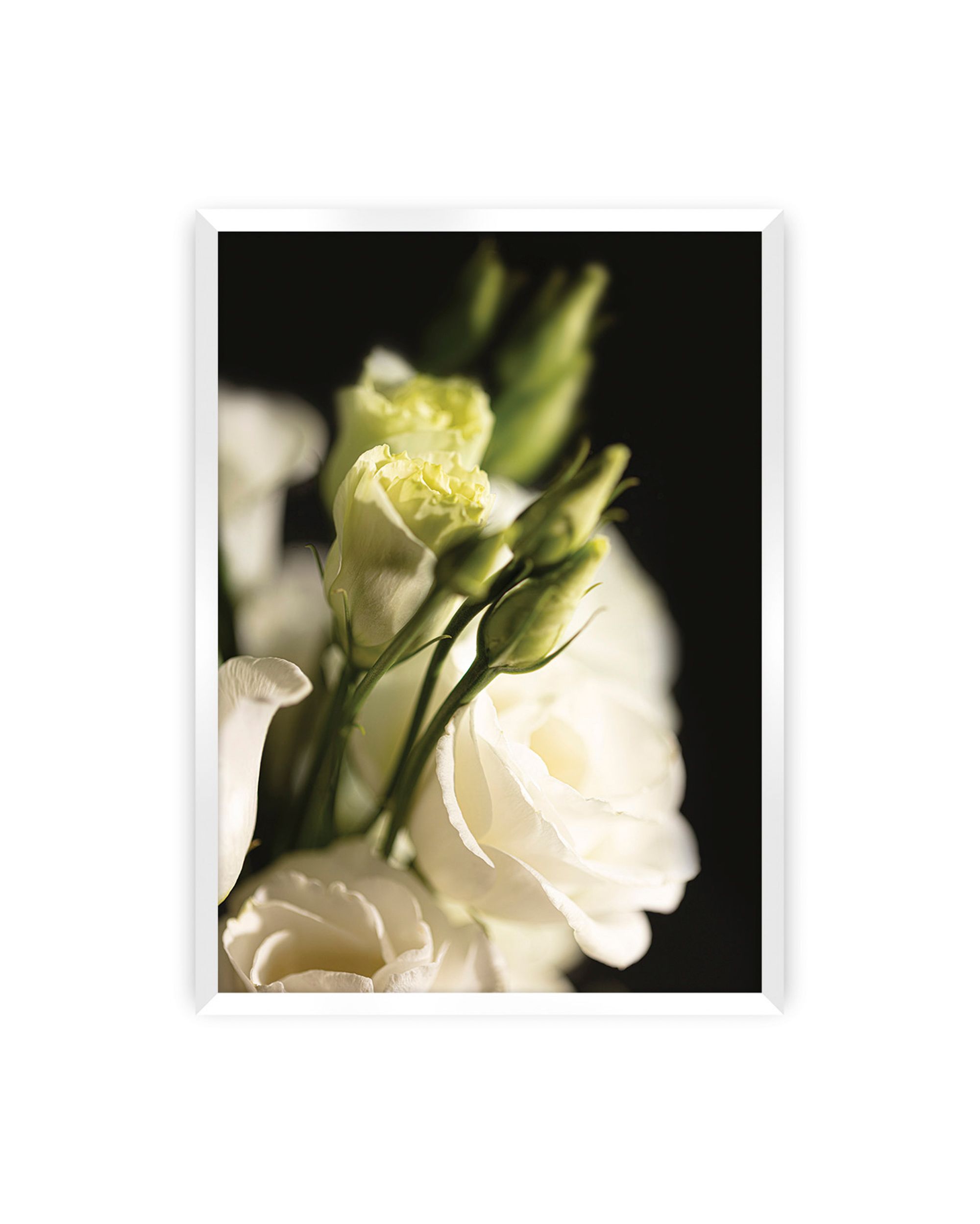 Plakat Dark Flowers I