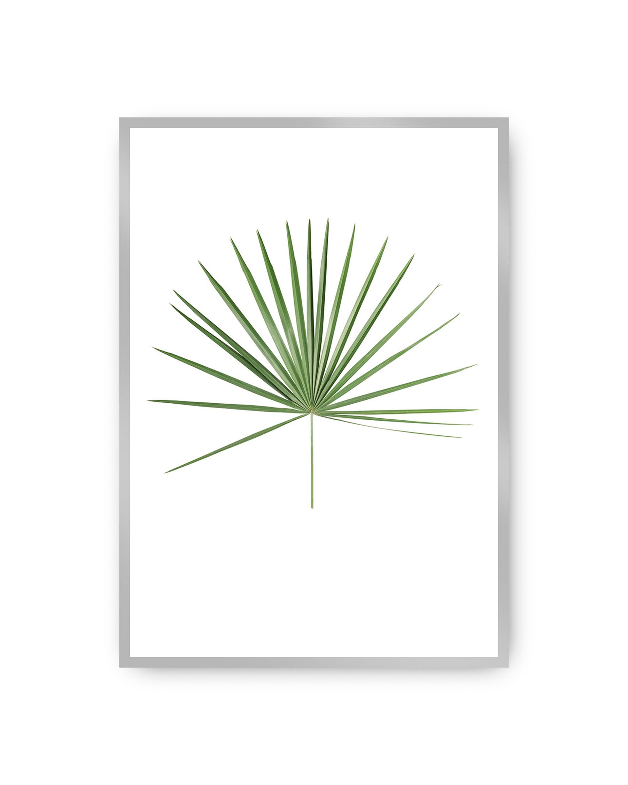 Plakat Tropical Leaf Green