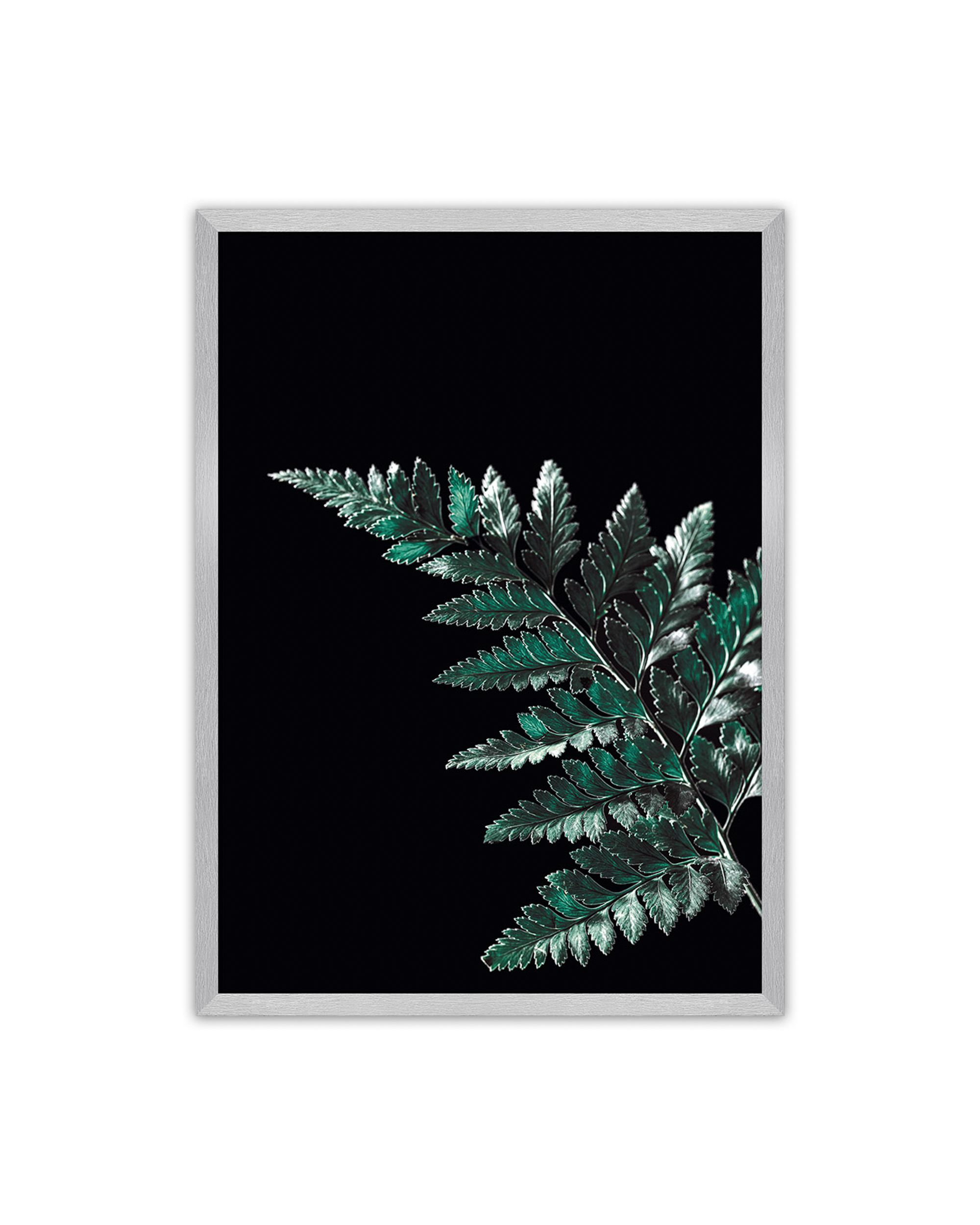 Plakat Dark Fern Leaf