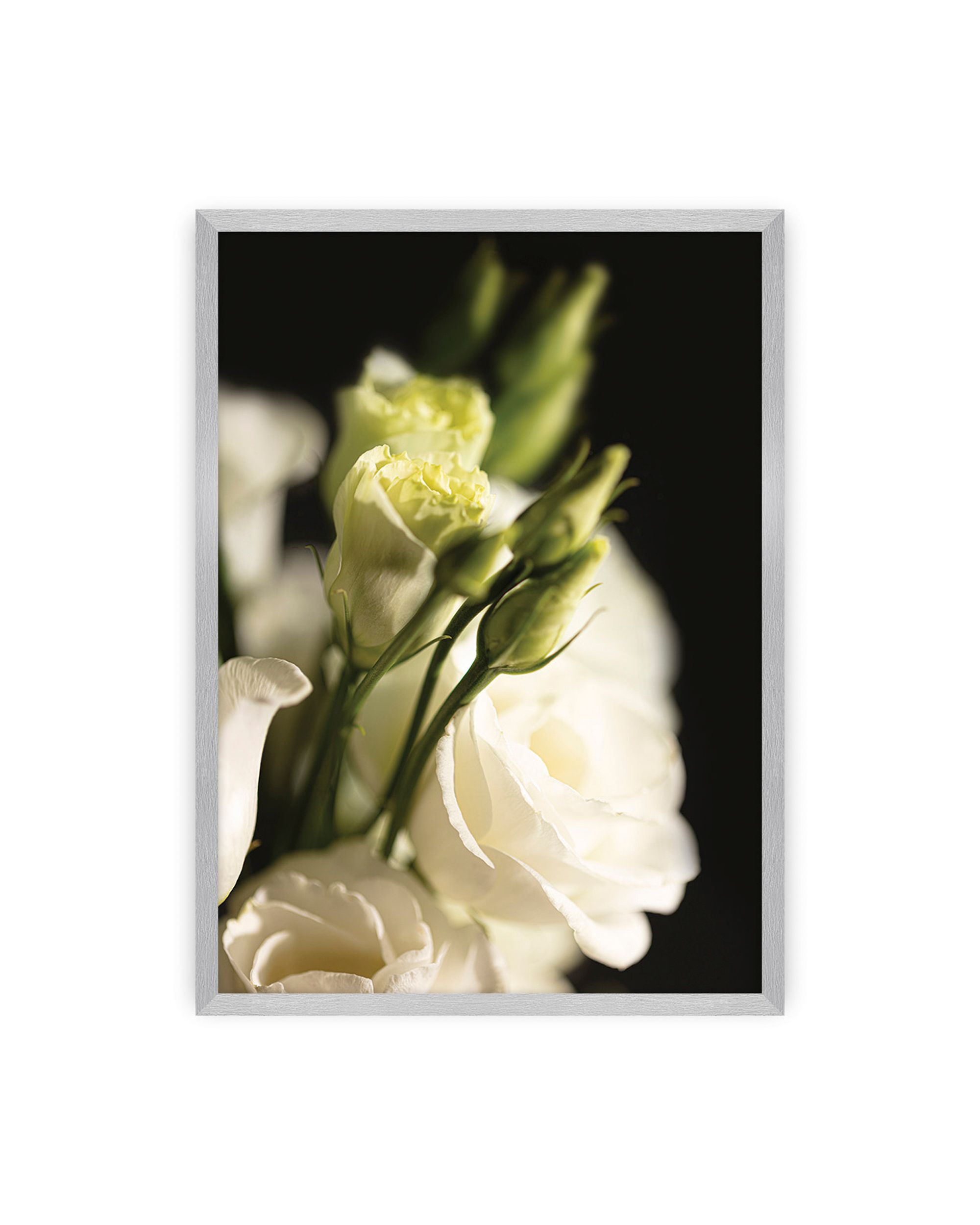Plakat Dark Flowers I