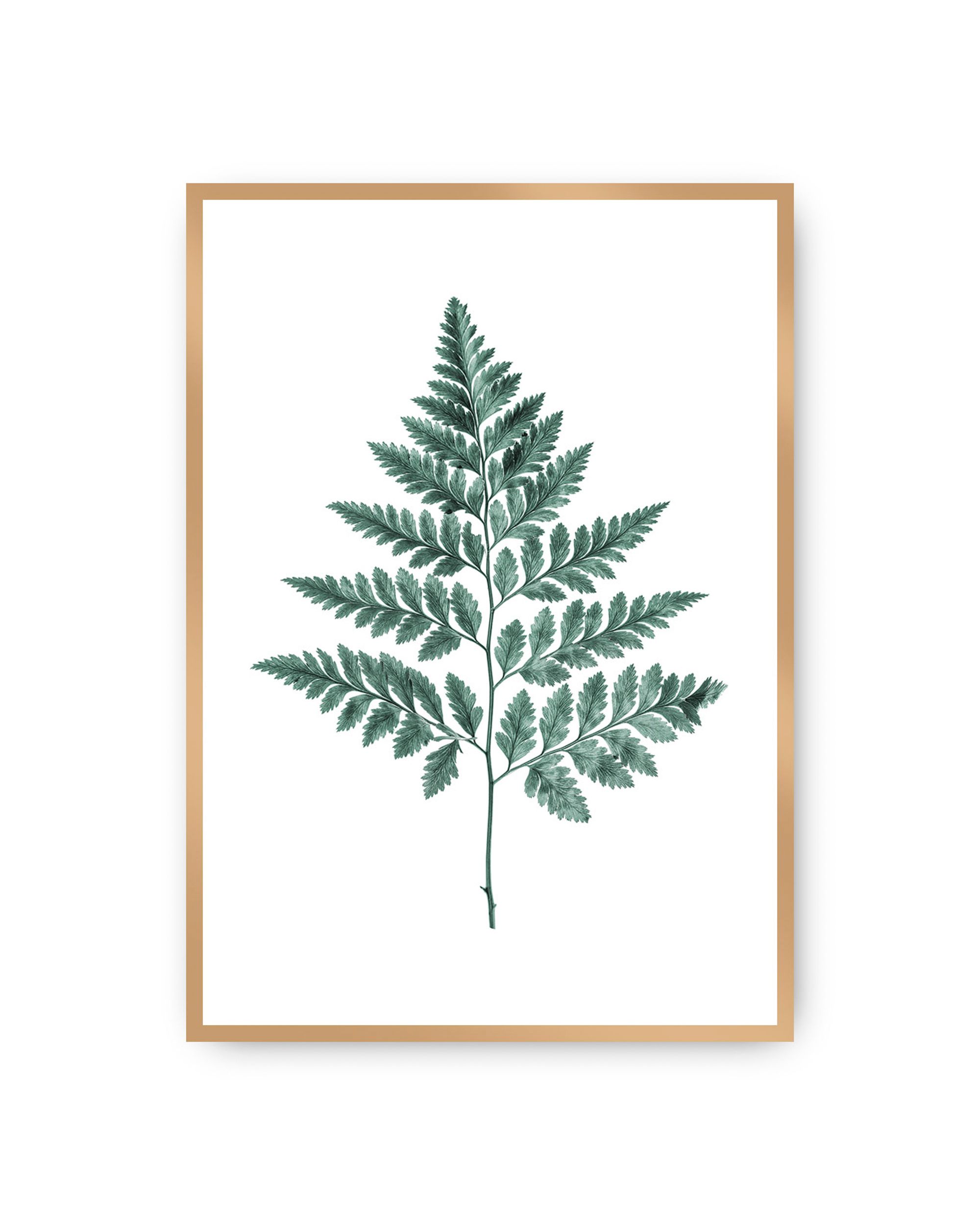 Plakat Fern Emerald Green