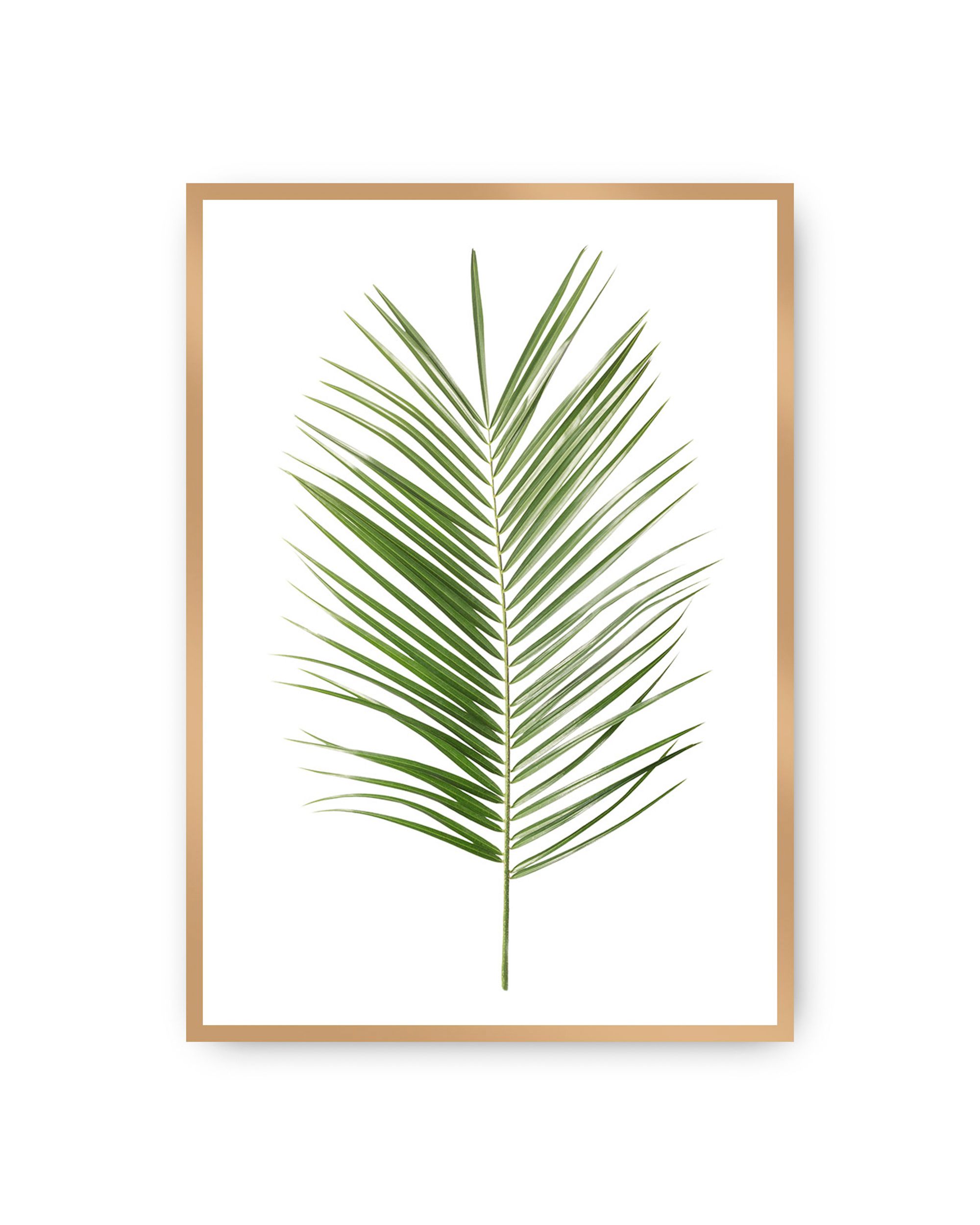 Plakat Palm Leaf Green