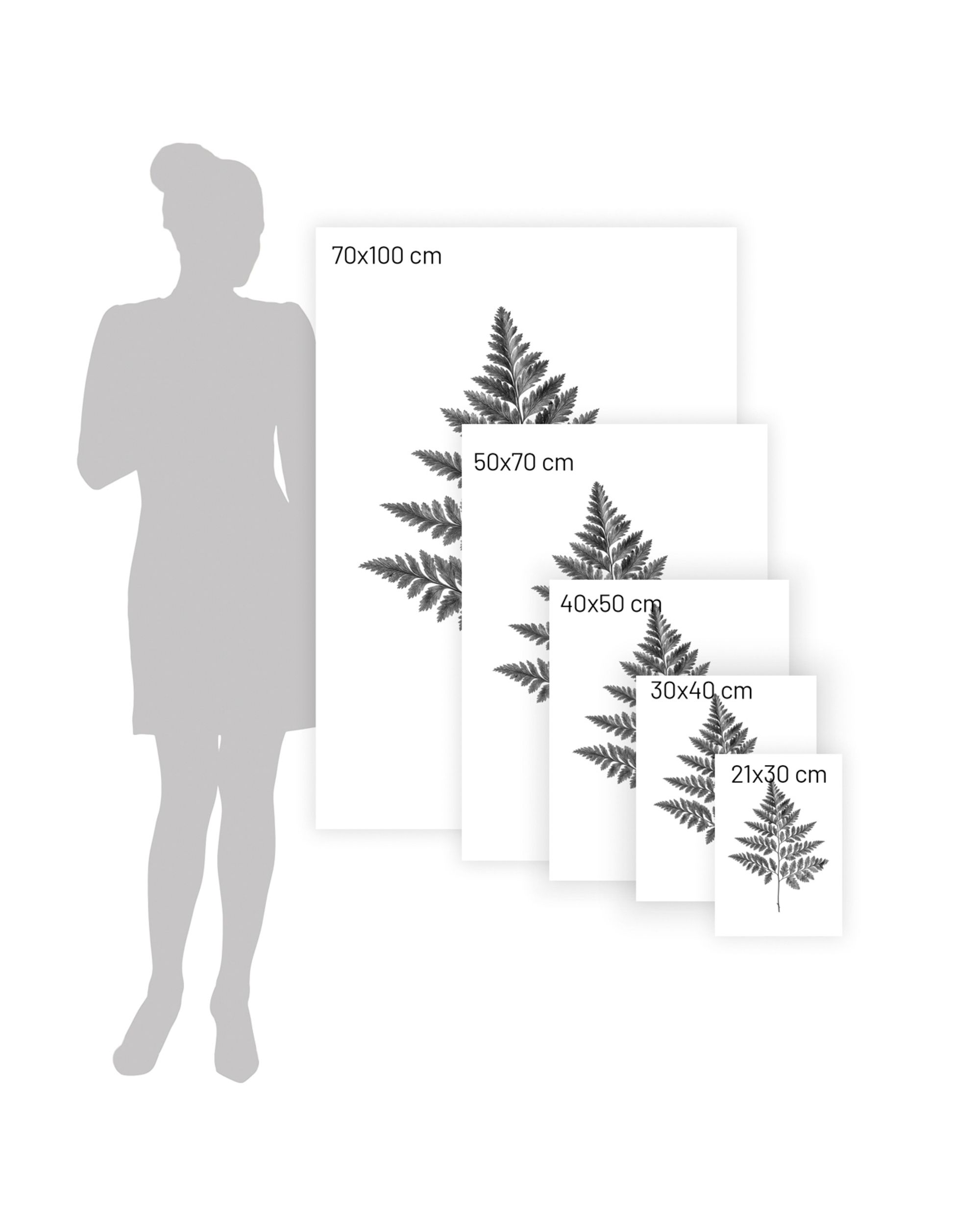 Plakat Fern Grey (hover)
