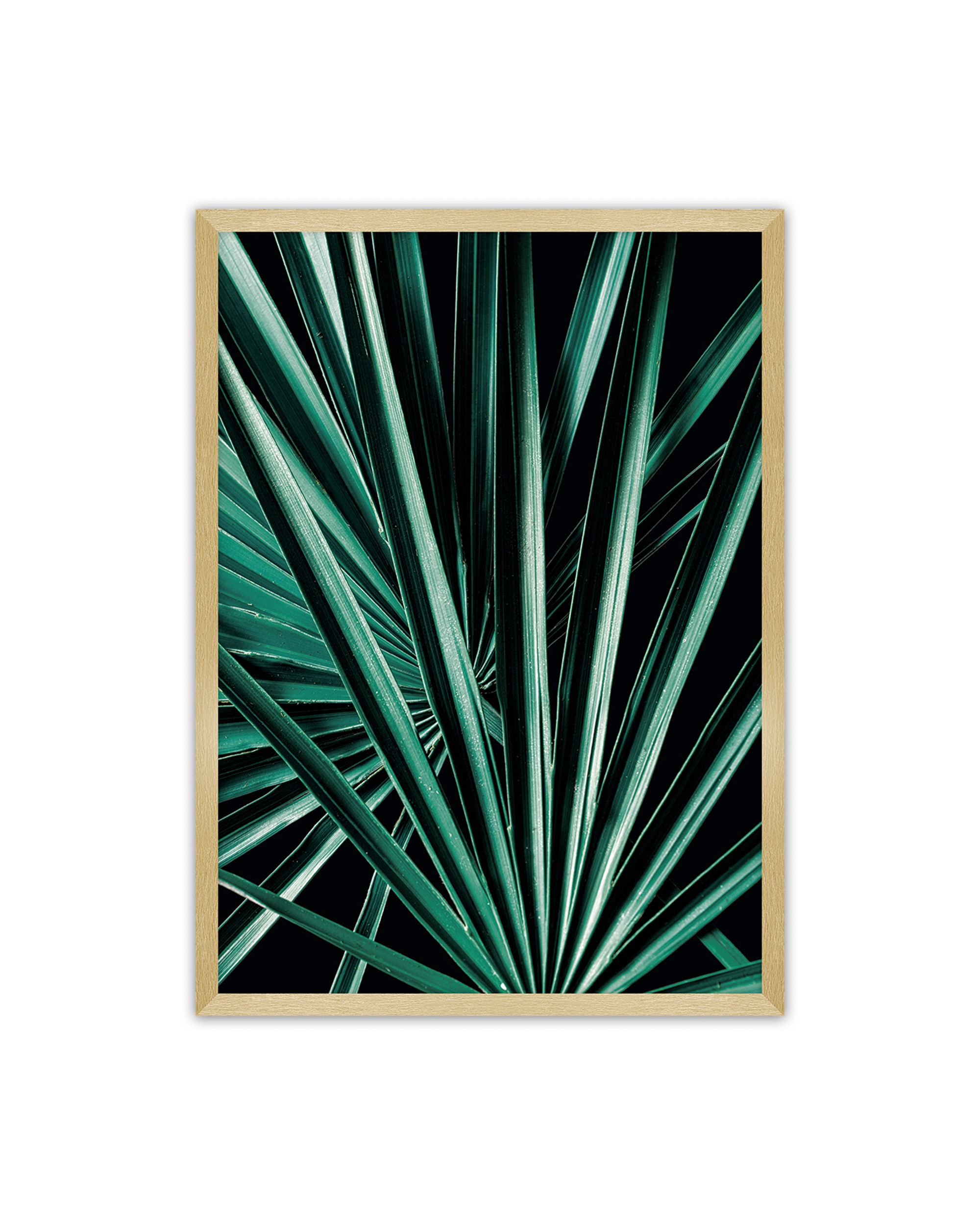 Plakat Dark Palm Tree