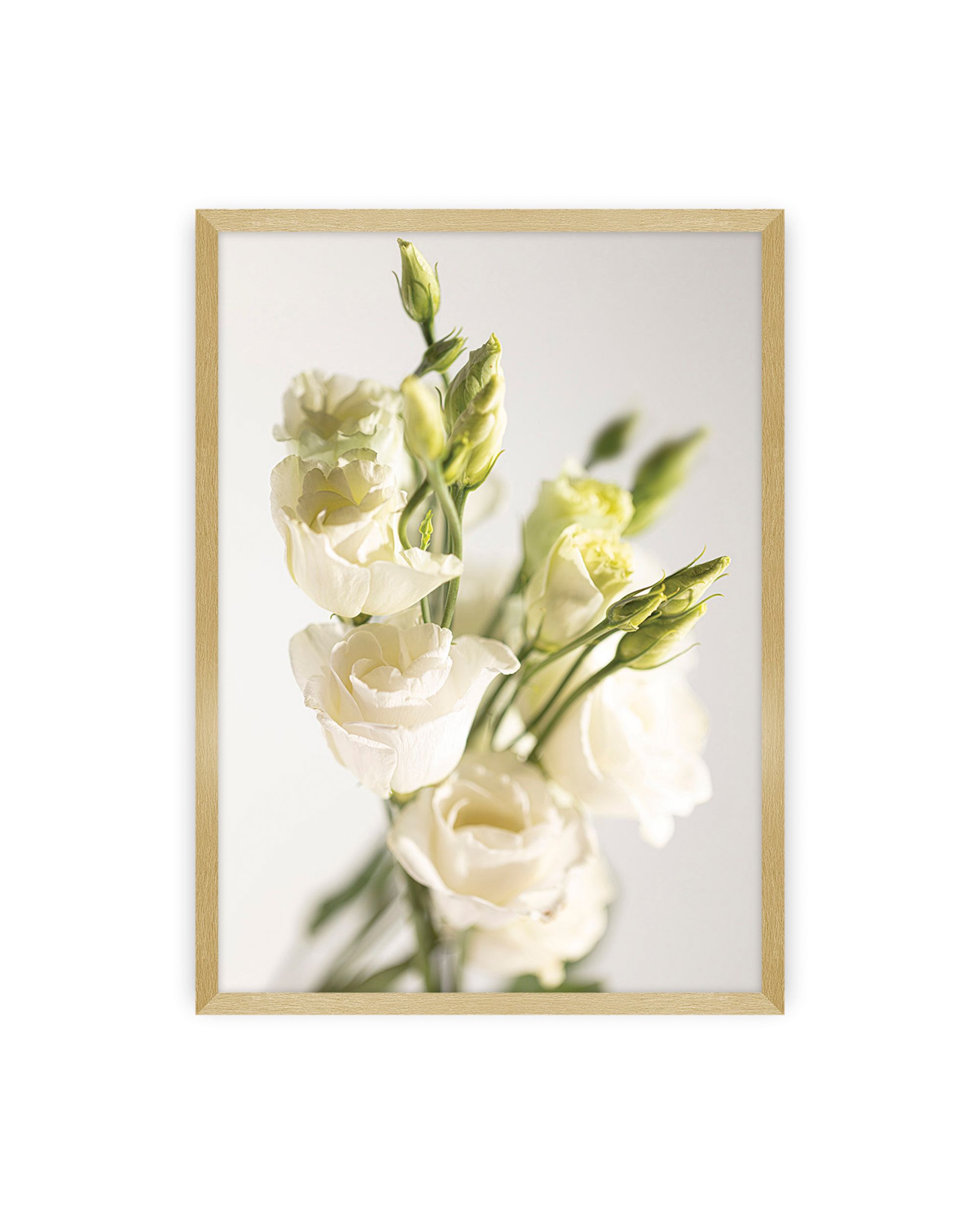 Plakat Elegant Flowers