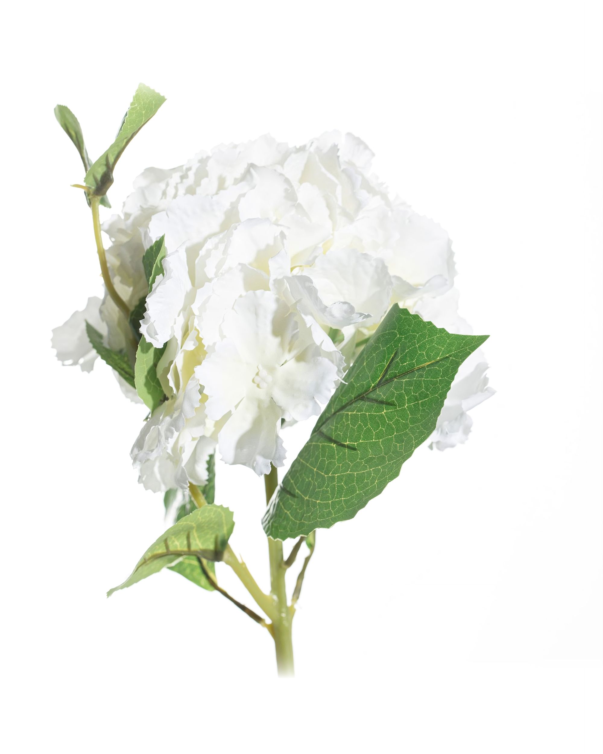 Kwiat Hortensji wys.65cm white