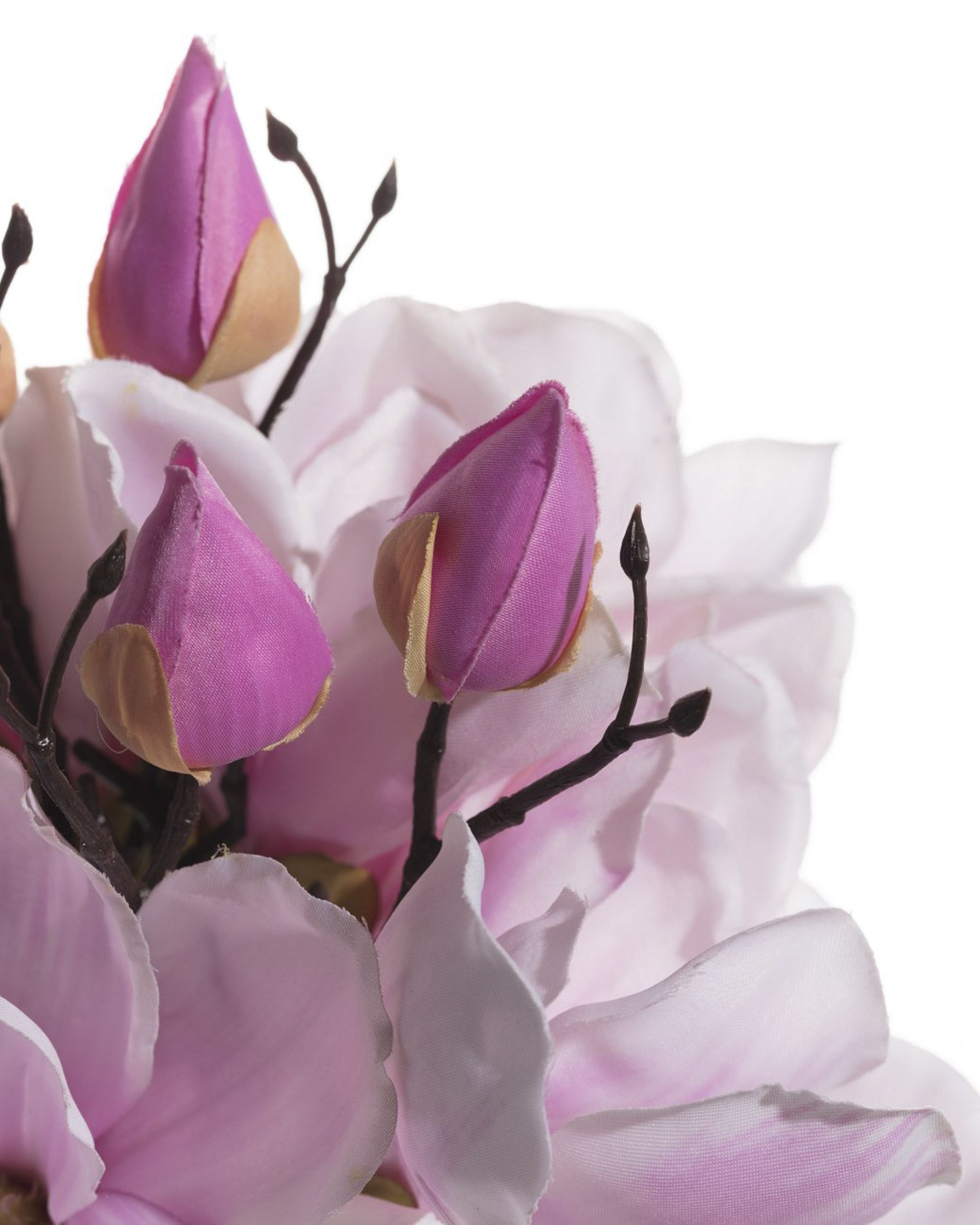 Bukiet Magnolii rose wys. 38cm (hover)