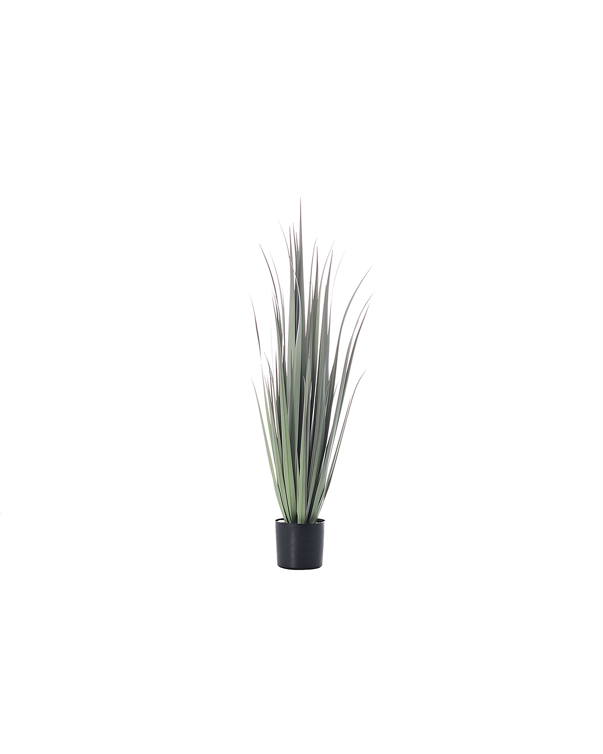 Dekoracja roślinna Grass 92cm