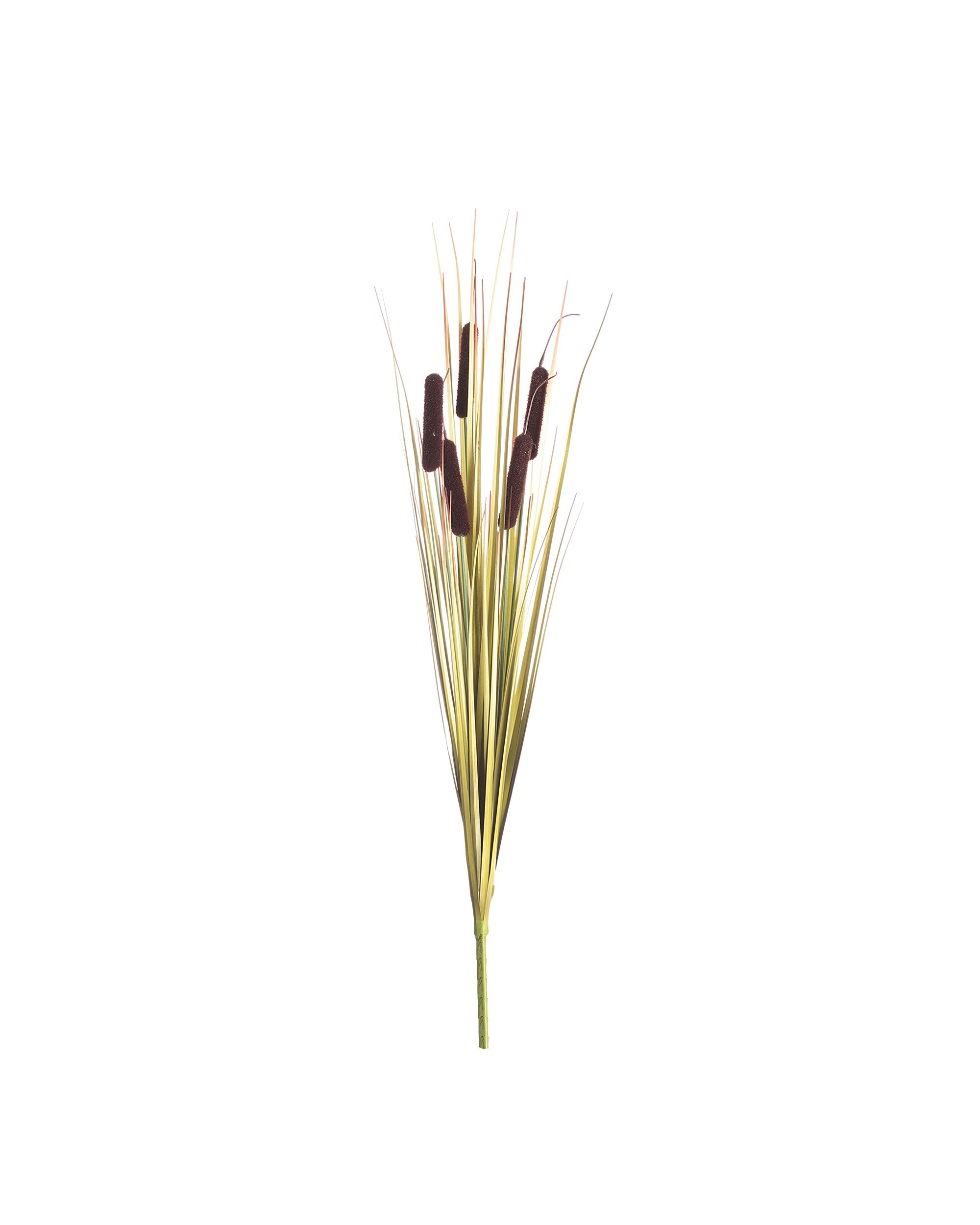 Dekoracja Tatarak 65cm dark brown
